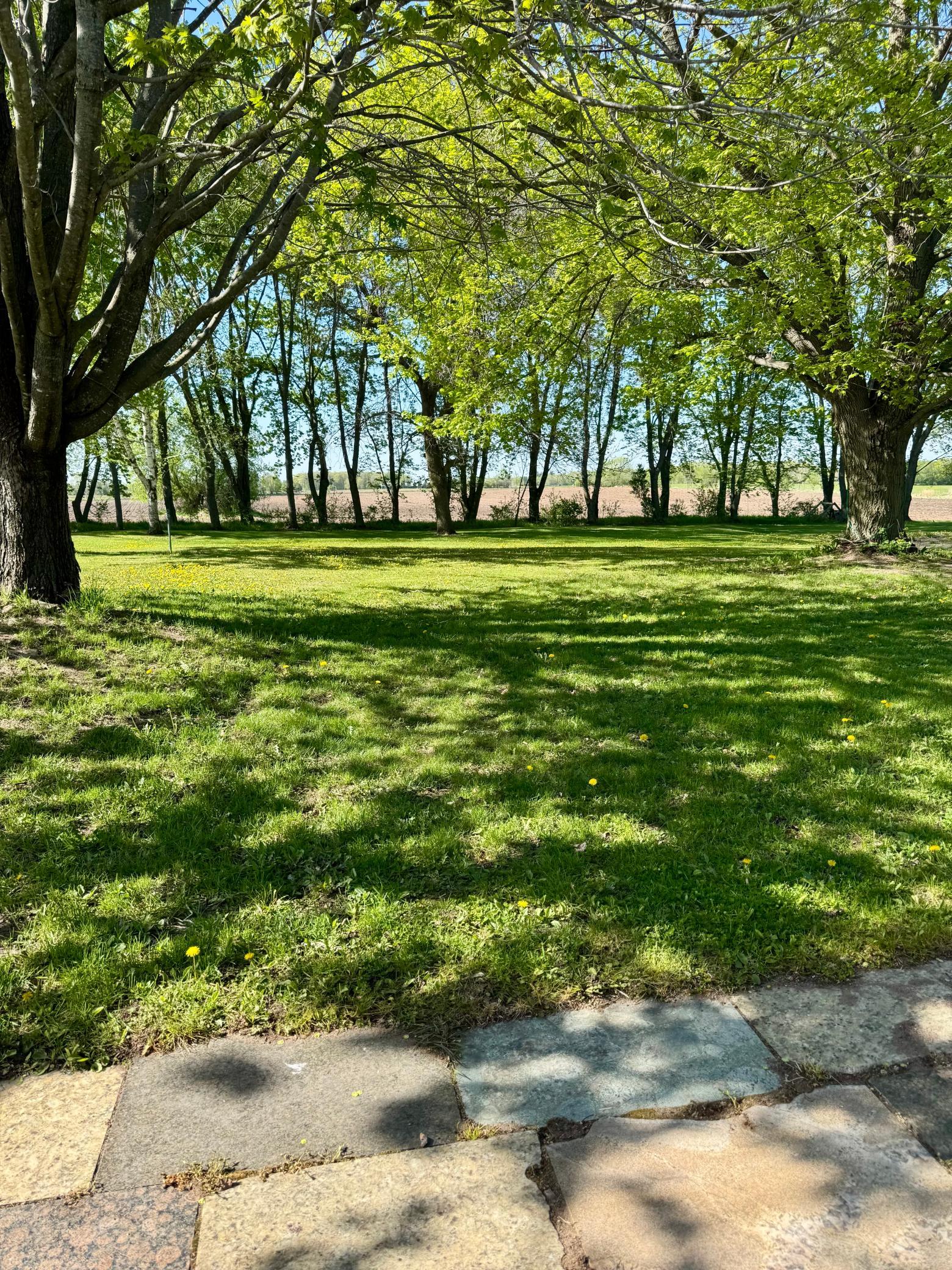 17370 65th St NE, Oak Park, MN 56357