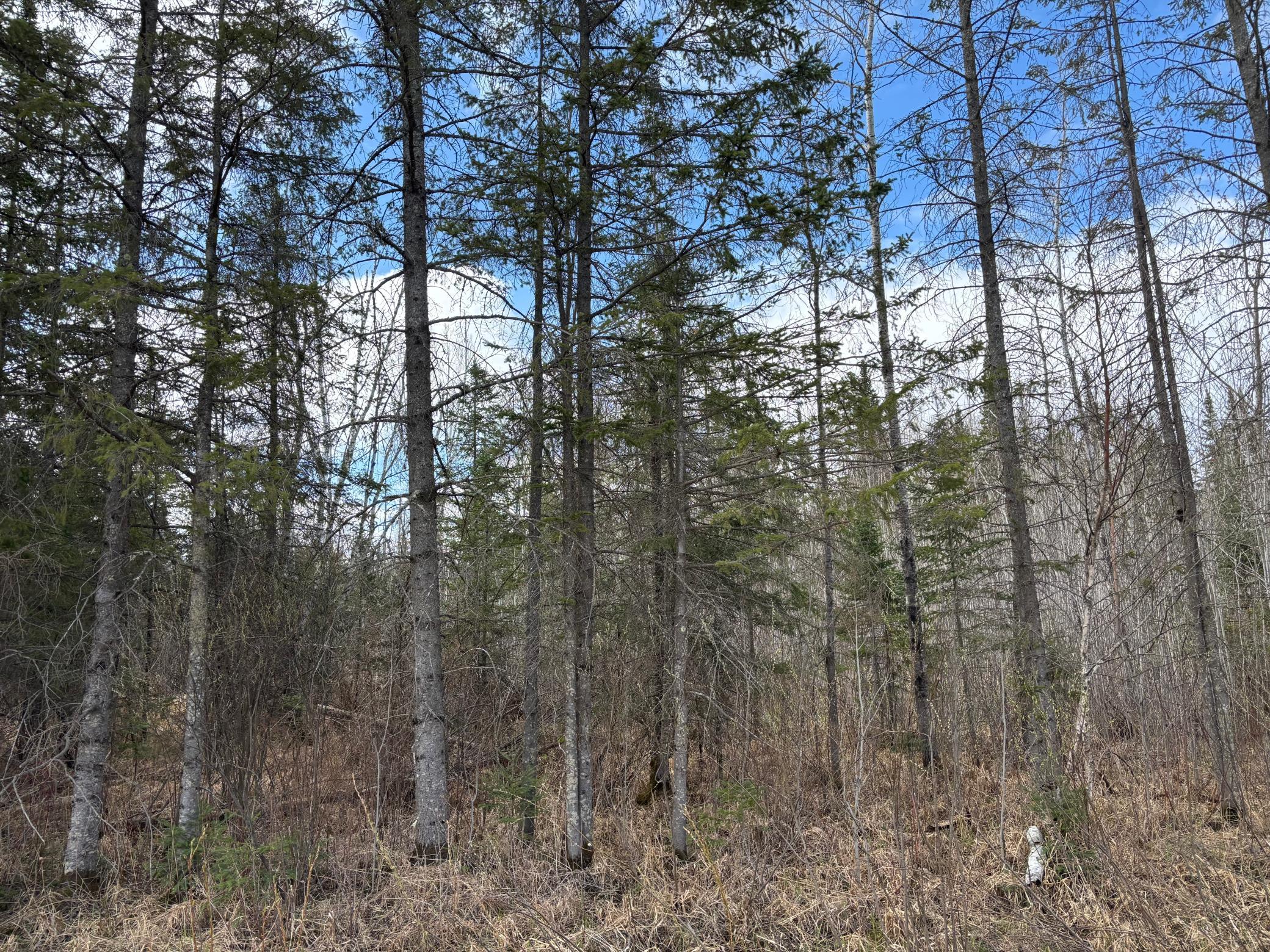 5358 E Four Corners Rd, Cromwell, MN 55726