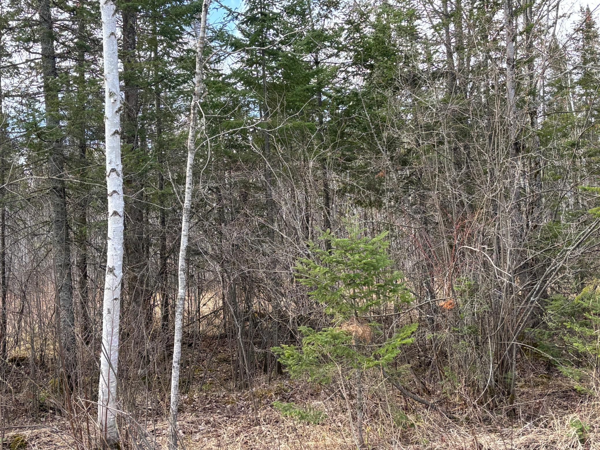 5358 E Four Corners Rd, Cromwell, MN 55726