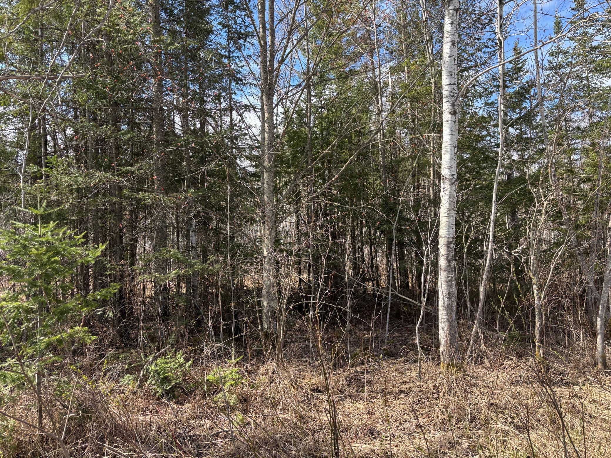5358 E Four Corners Rd, Cromwell, MN 55726