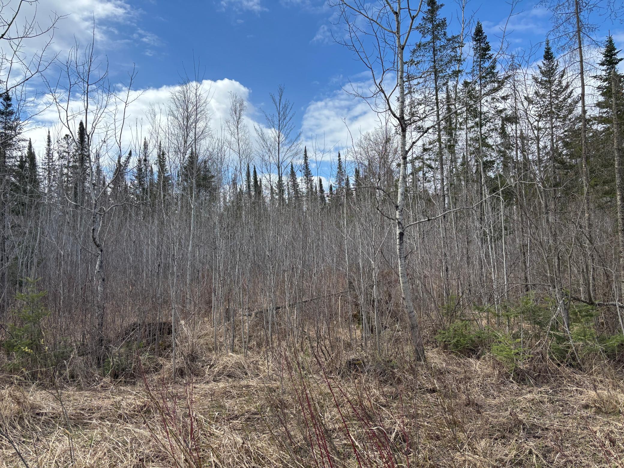 5358 E Four Corners Rd, Cromwell, MN 55726