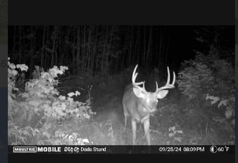 TBD Us Hwy 2, Bagley, MN 56621