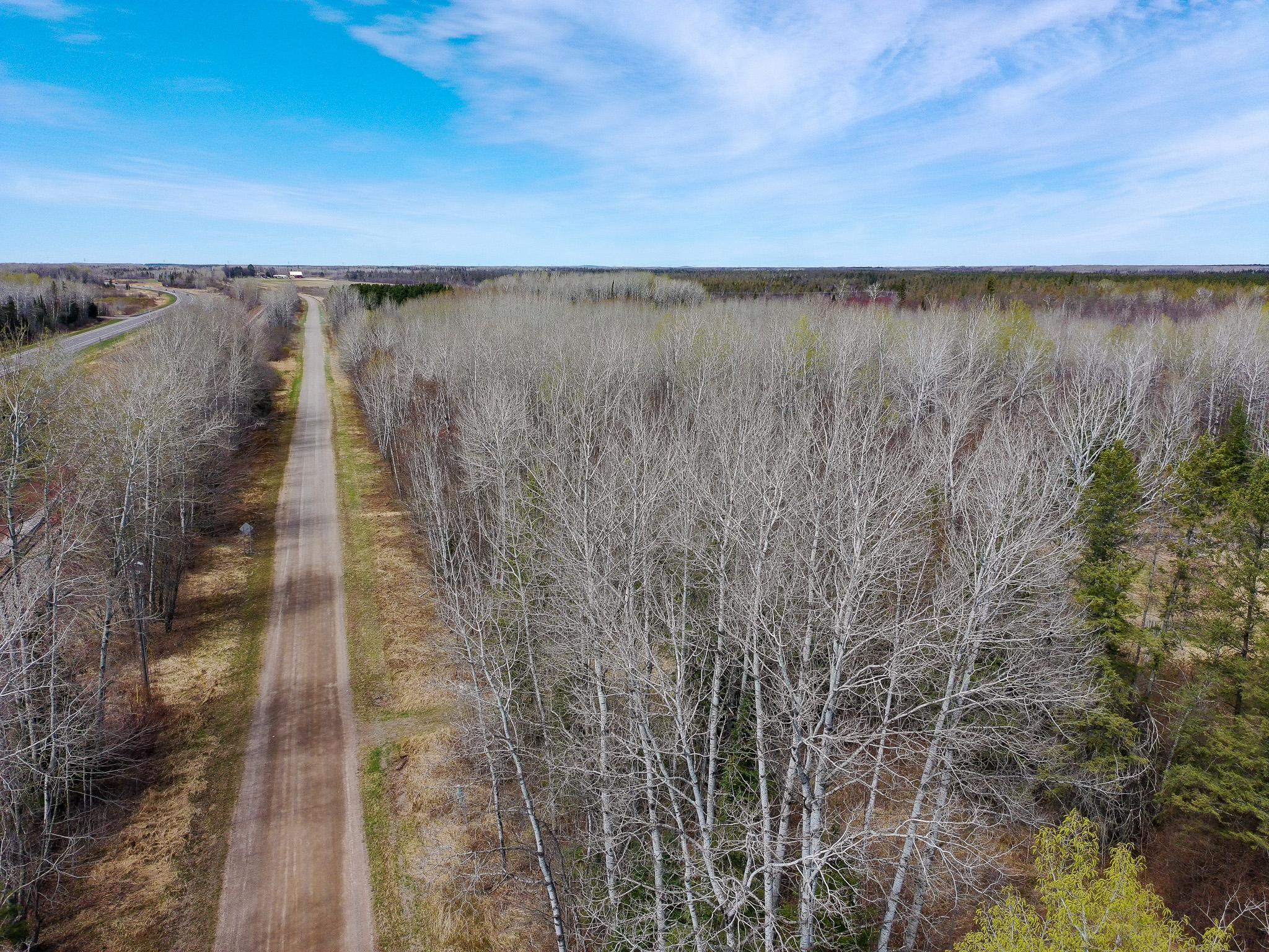 11839 Saint Vincent Rd, Floodwood, MN 55736