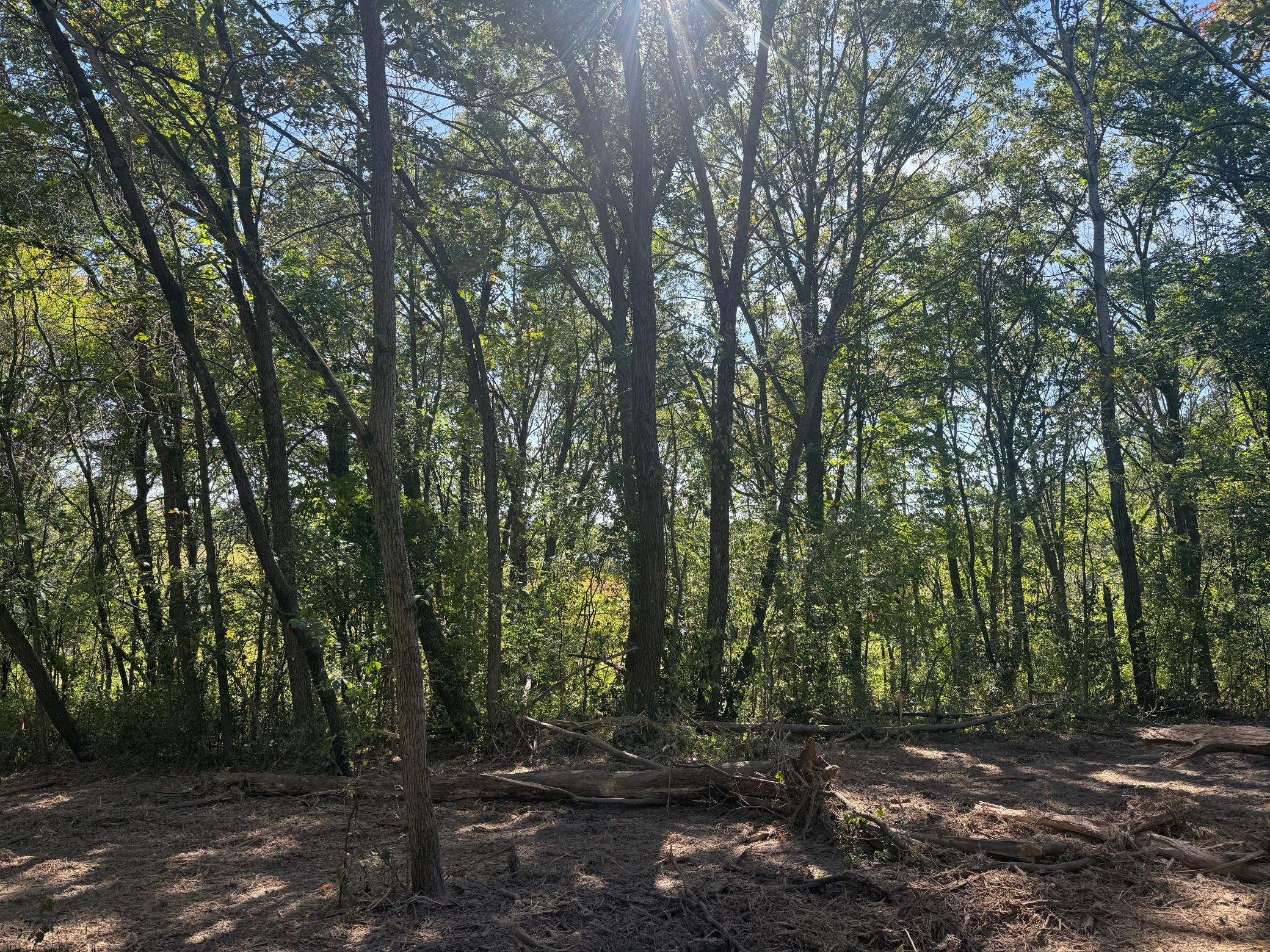 6167 Lake Dr, Prior Lake, MN 55372