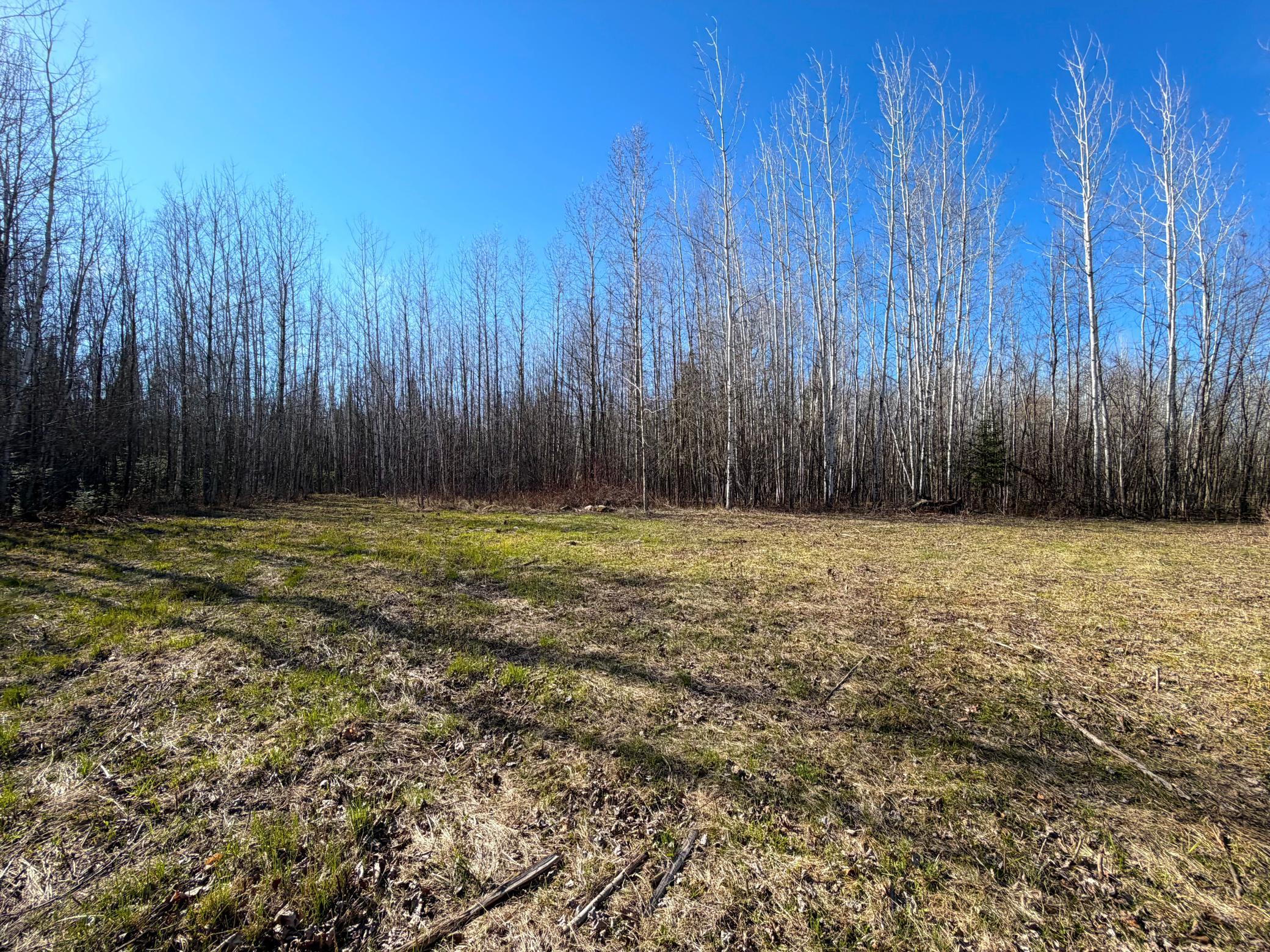 Lot B County Road 79, Littlefork, MN 56653