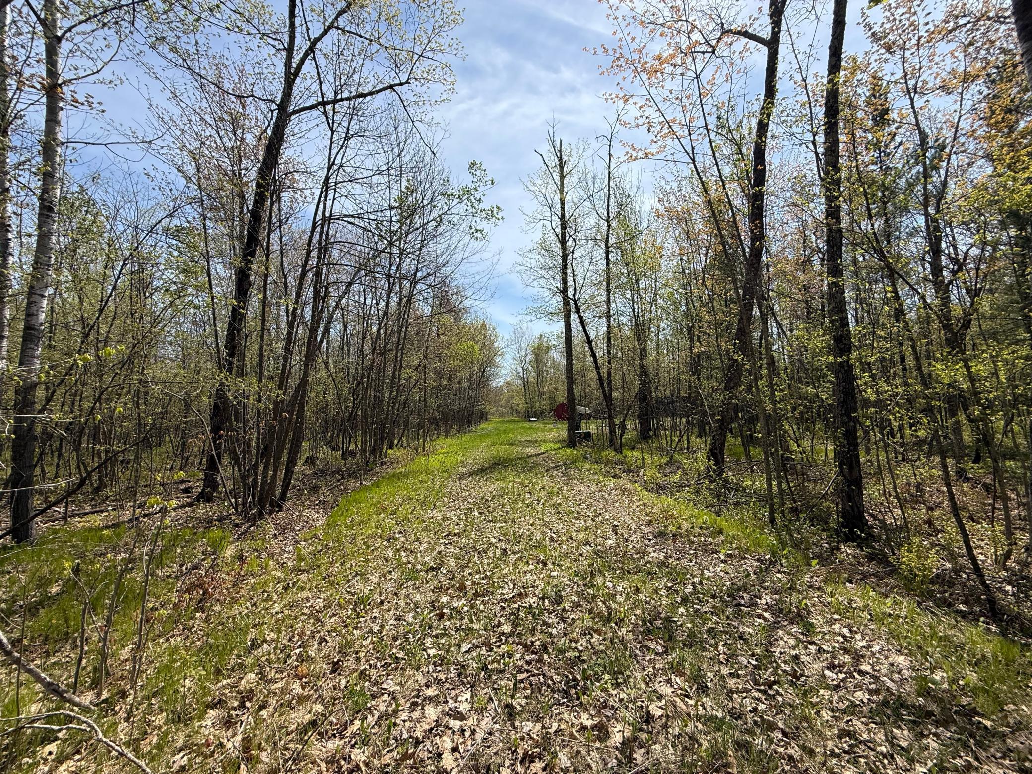 2XXX Ironwood Ave, Mora, MN 55051