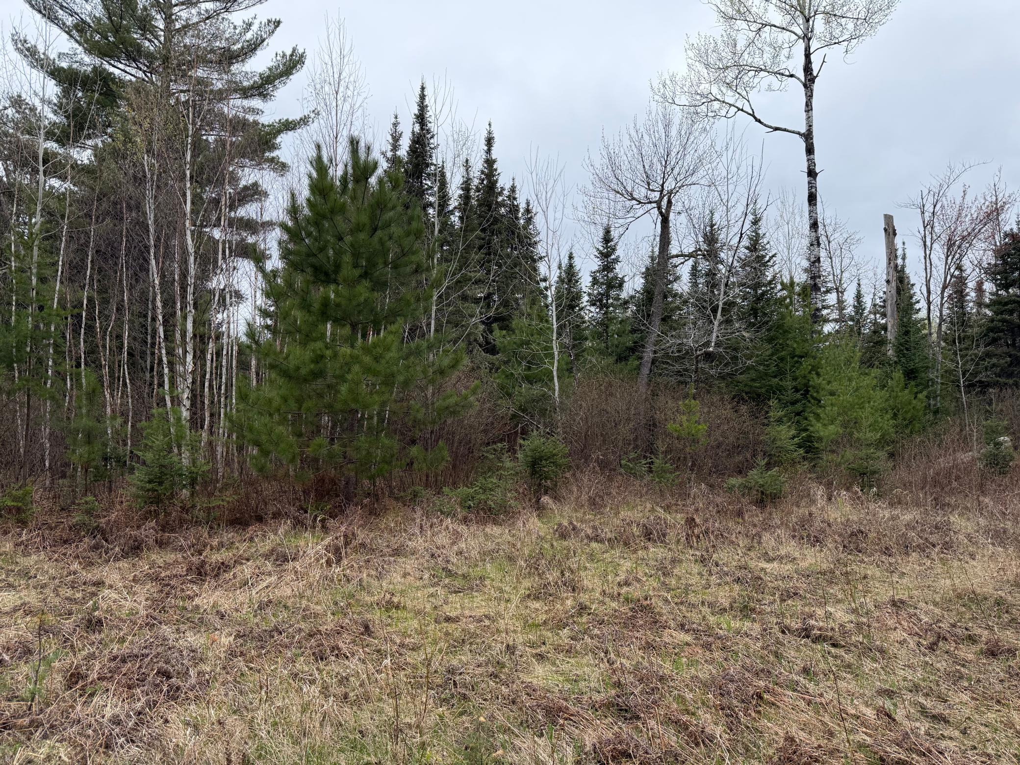 TBD Scout Camp Rd, Eveleth, MN 55734