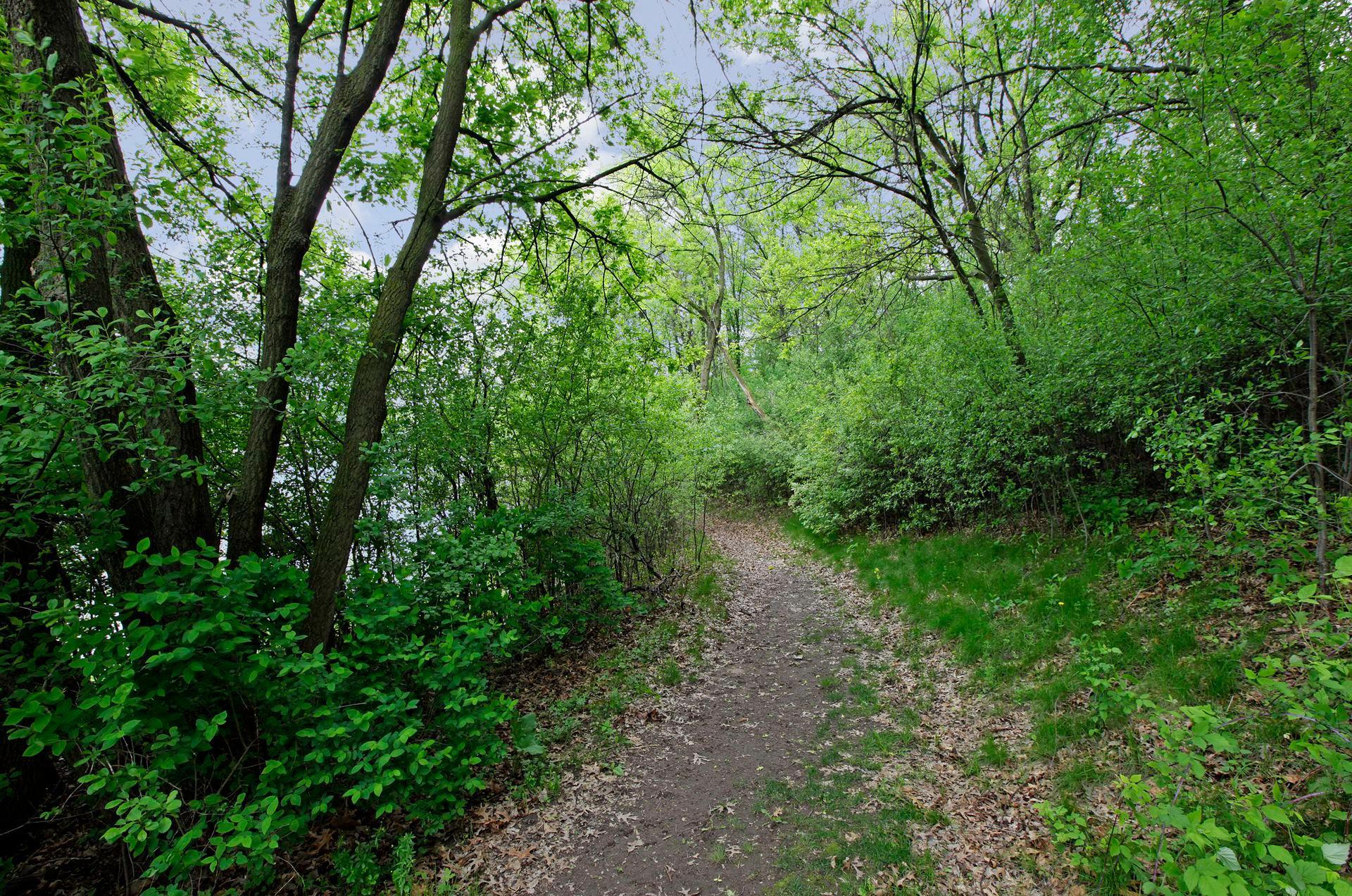 4681 Horten Point, Eagan, MN 55122