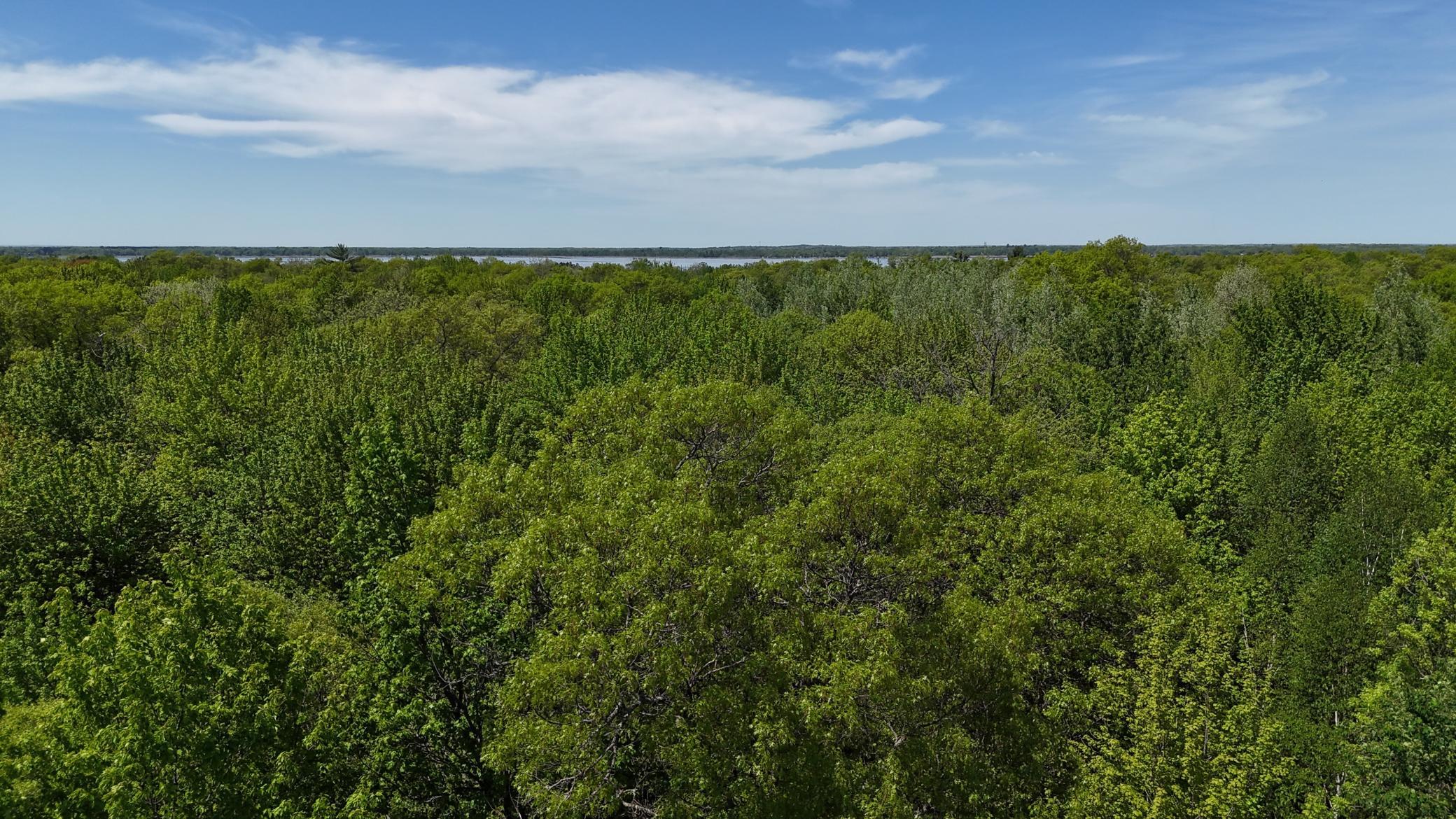 12913 Dobbins Rd, Merrifield, MN 56465