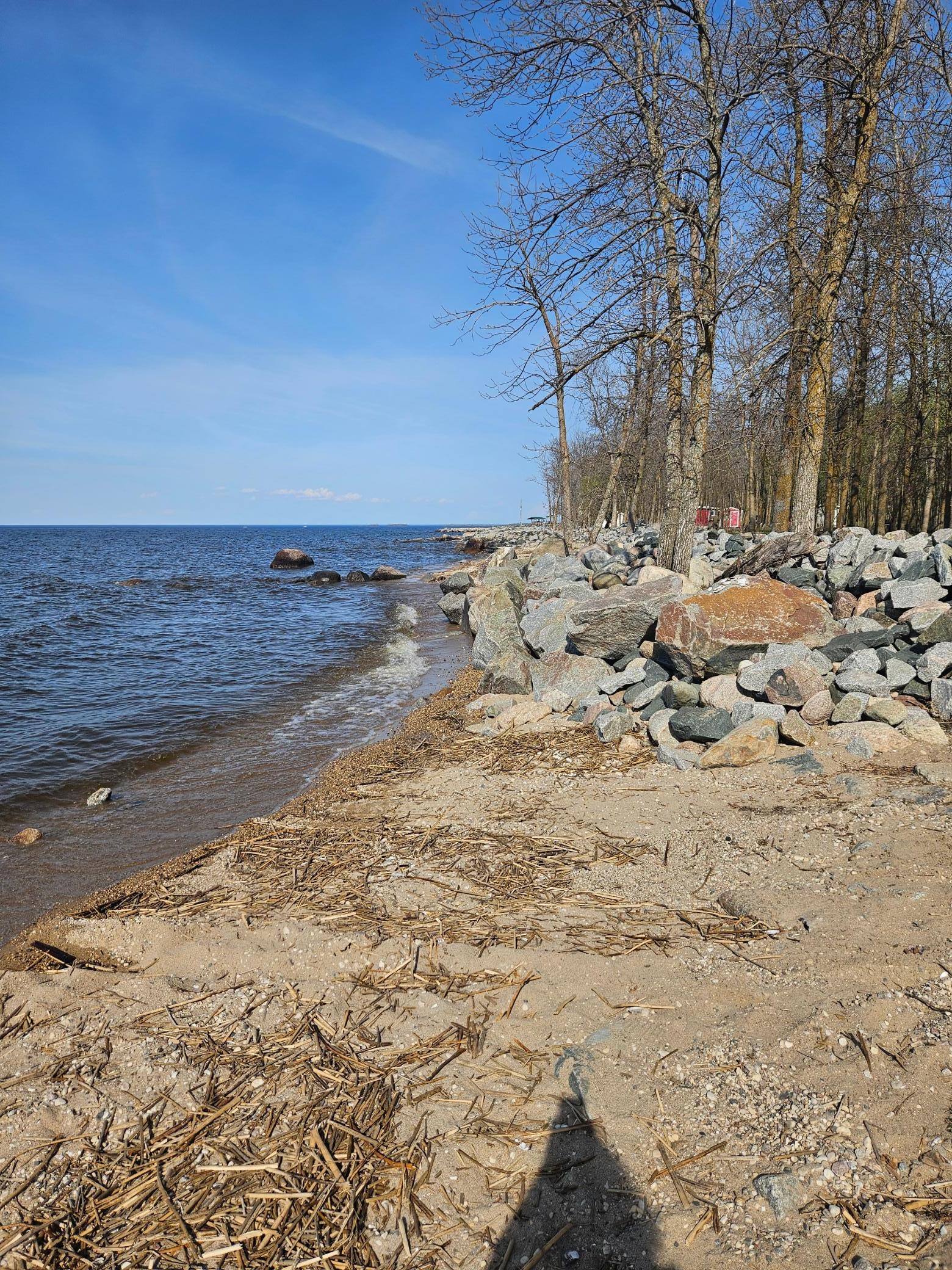 6728 Rocky Point Rd NW, Roosevelt, MN 56673