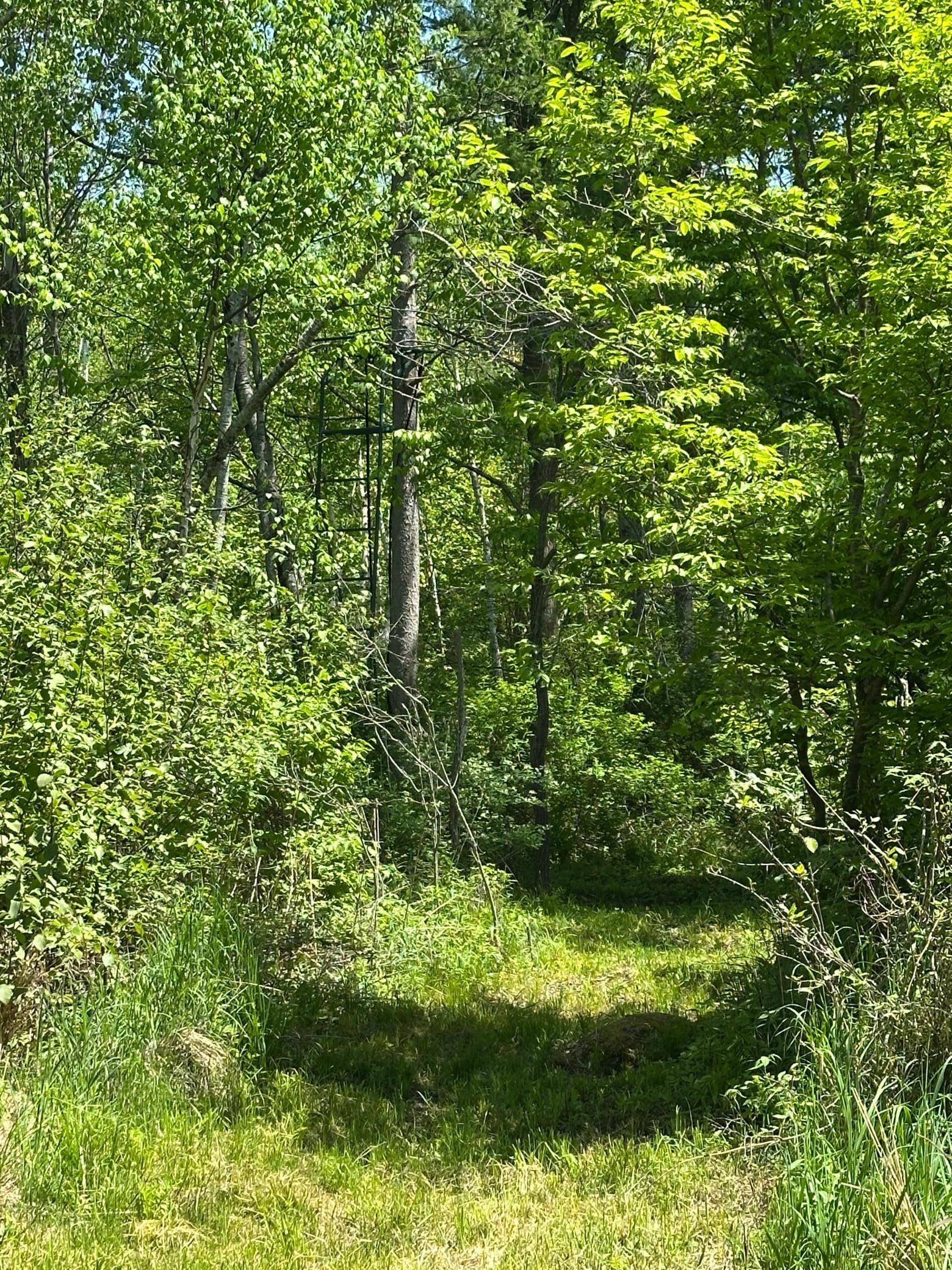 N7642 Crooked Rd, Ladysmith, WI 54848