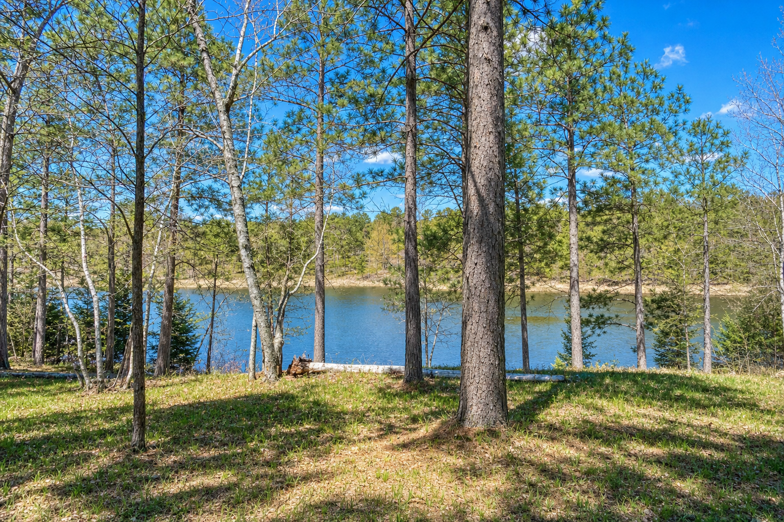 18280 County 11, Park Rapids, MN 56470