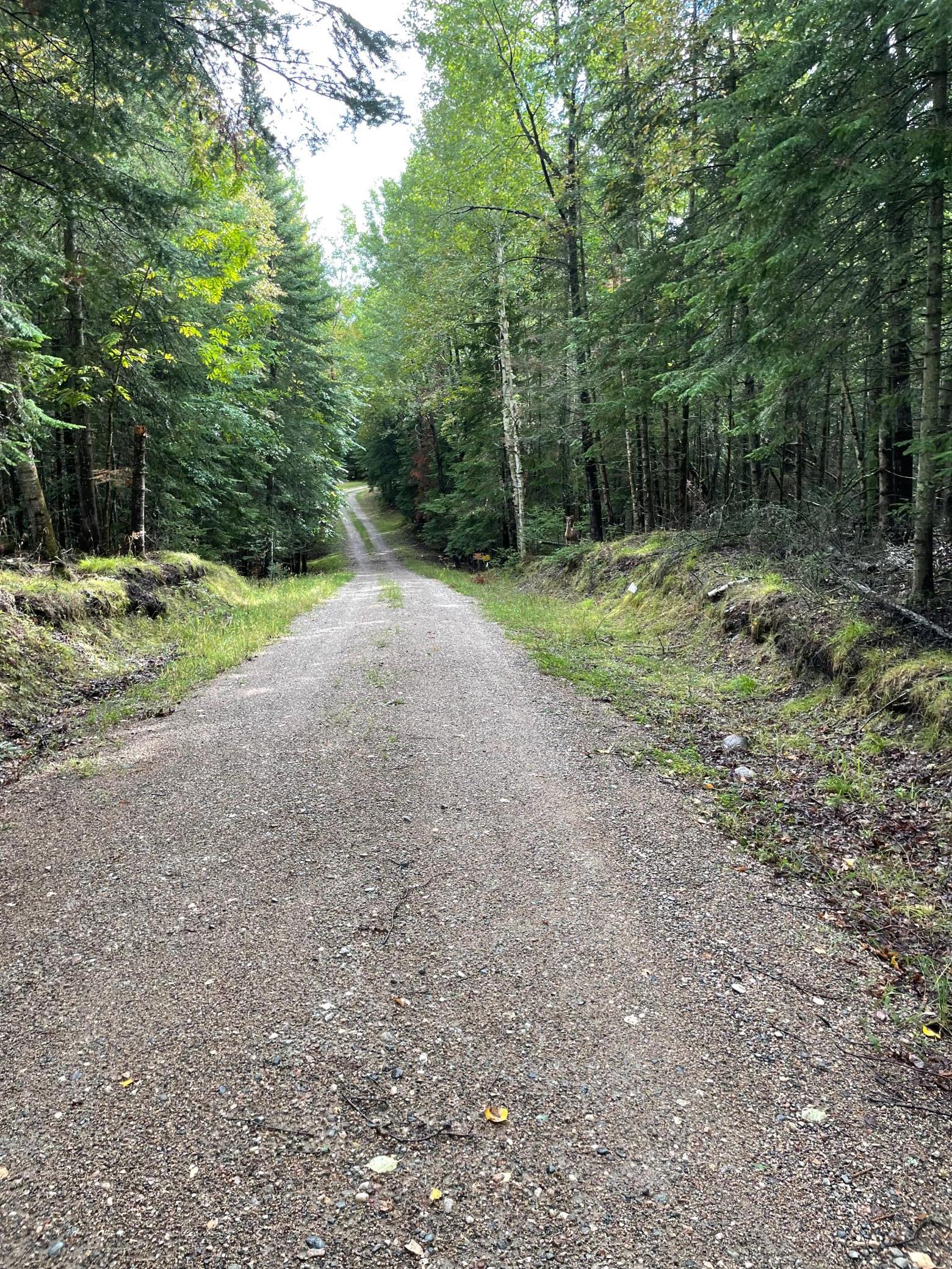 51301 Pine Point Rd, Bigfork, MN 56628