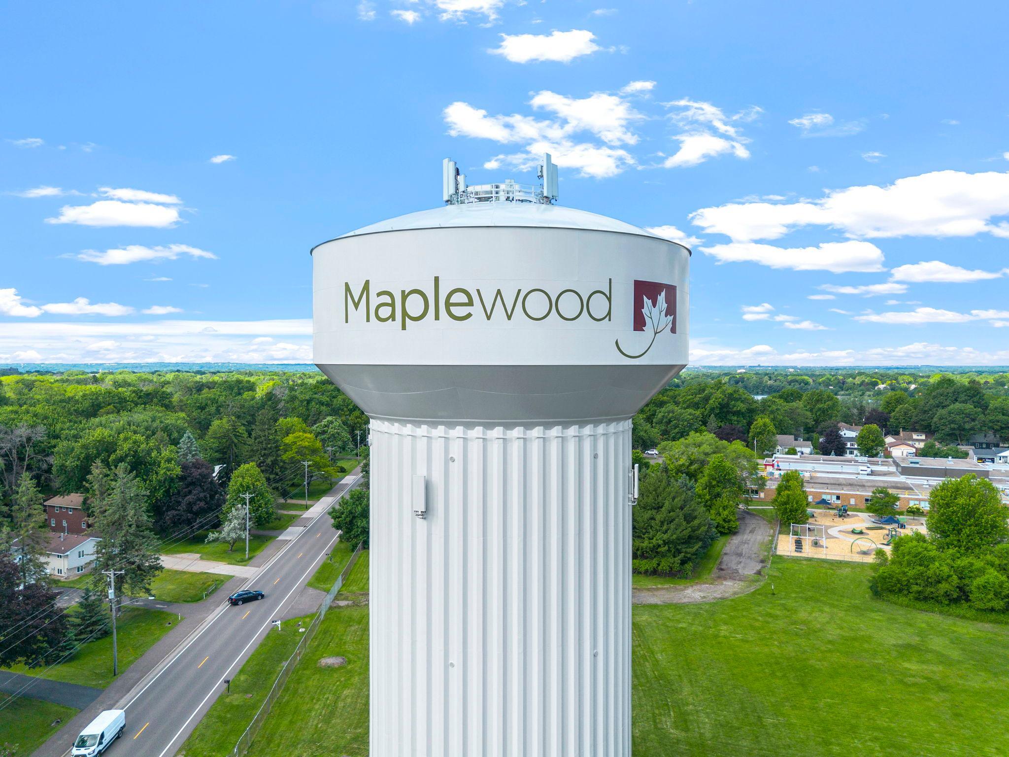 1010 Ferndale St N, Maplewood, MN 55119