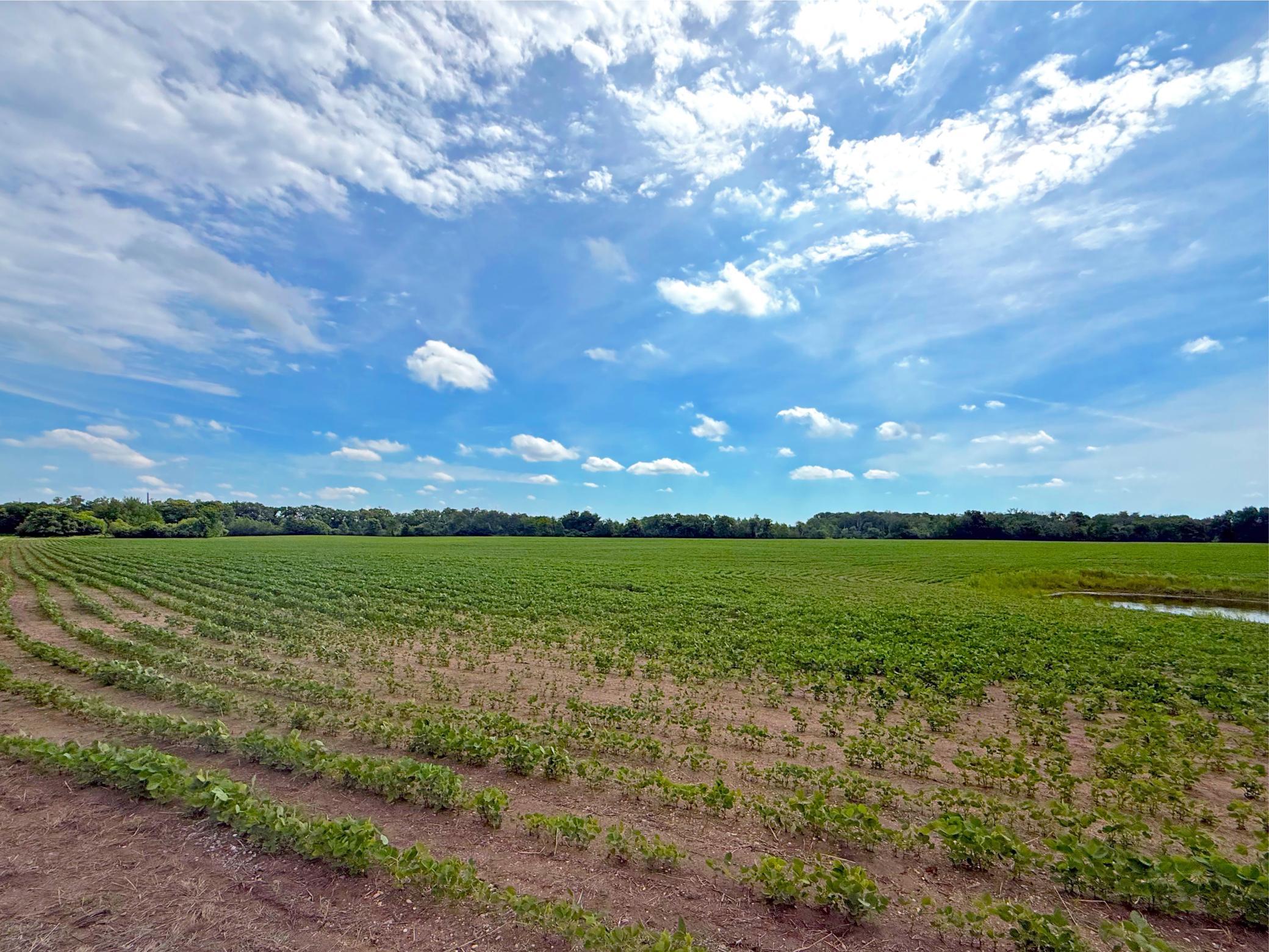 1383 120th St NE, Monticello, MN 55362