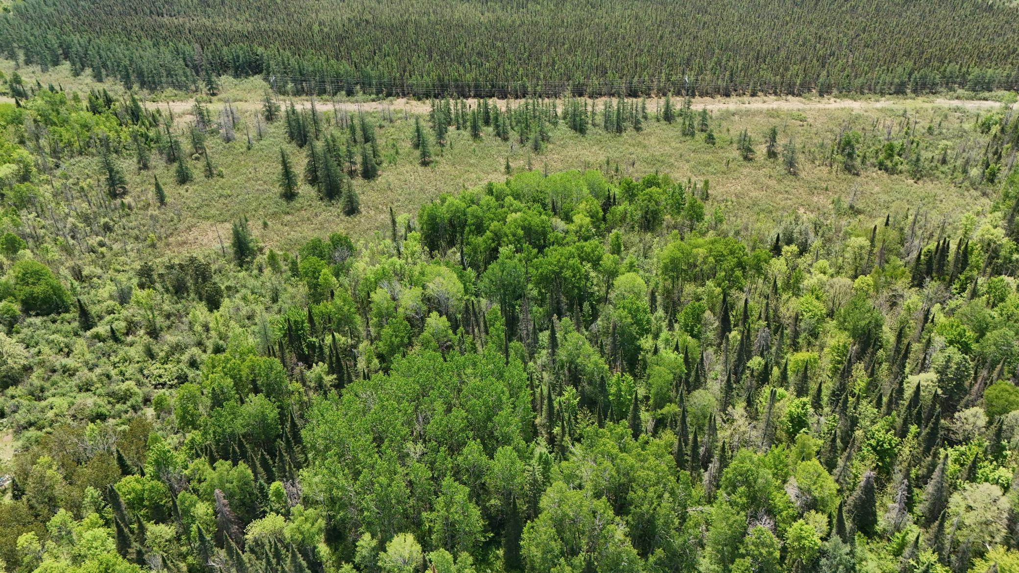 TBD County Road 4, Cromwell, MN 55726