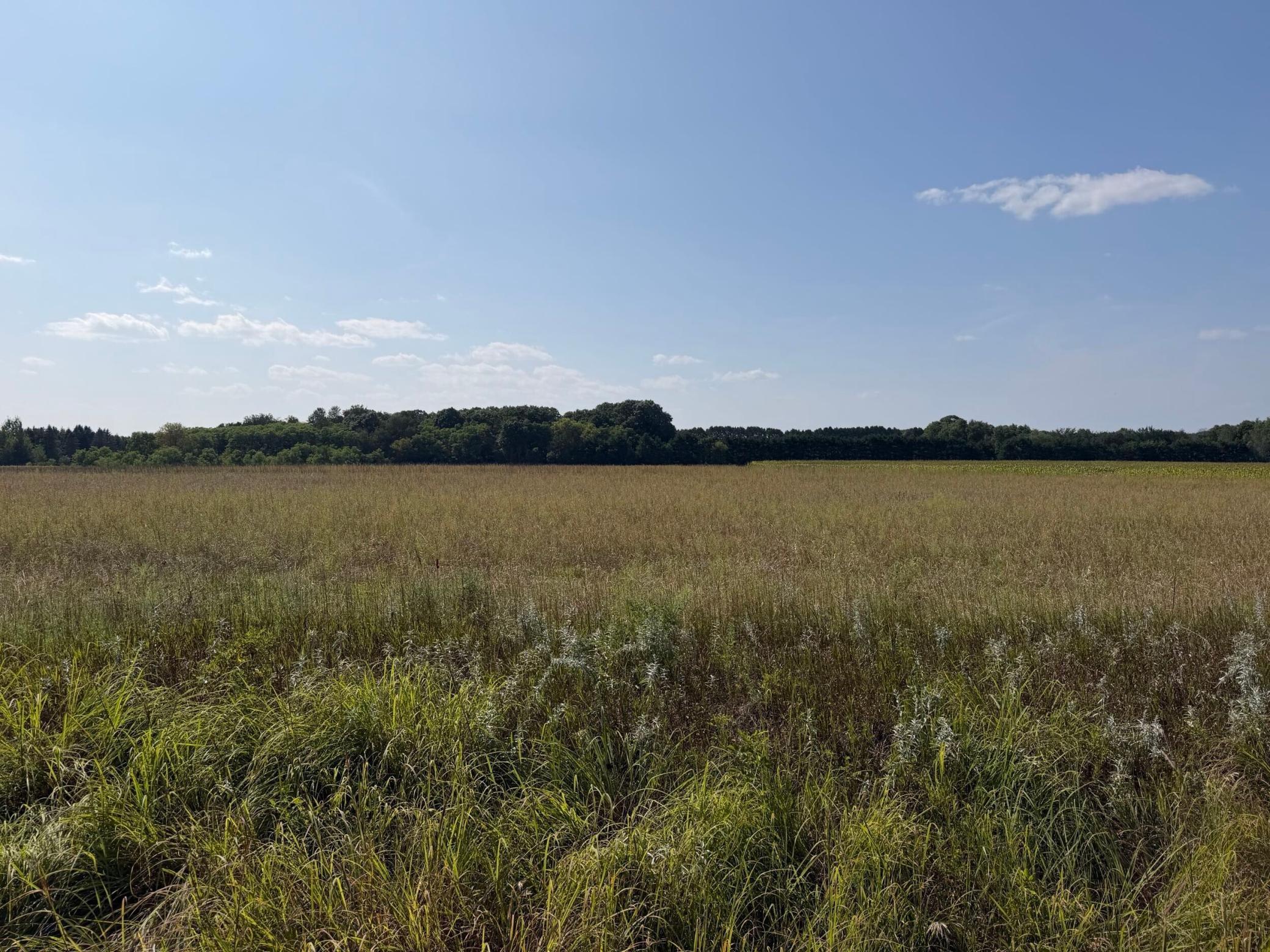 34660 Grand Ave, Stacy, MN 55079