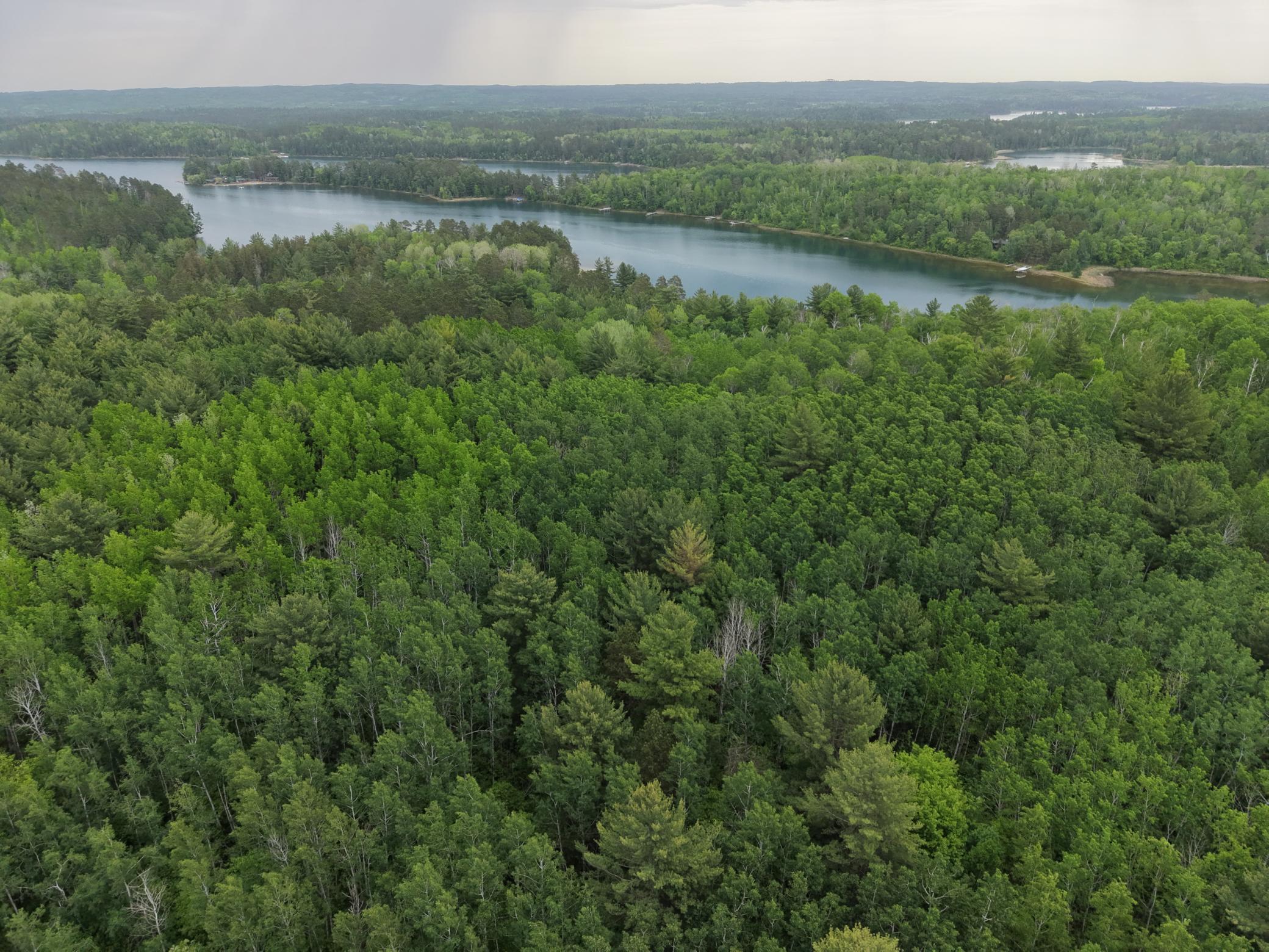 TBD 290th St, Park Rapids, MN 56470