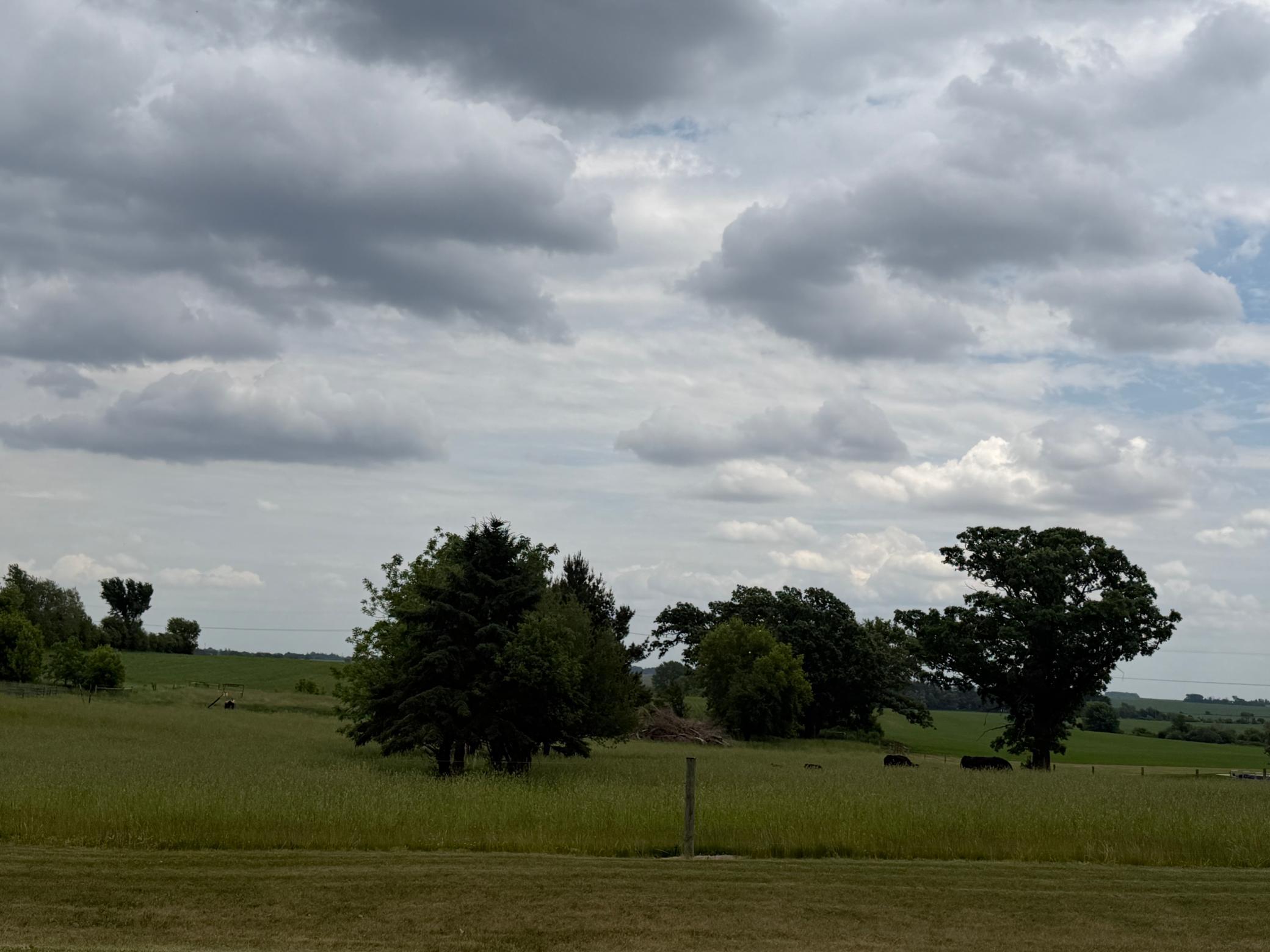 704 Country Estate Ct SE, Stewartville, MN 55976