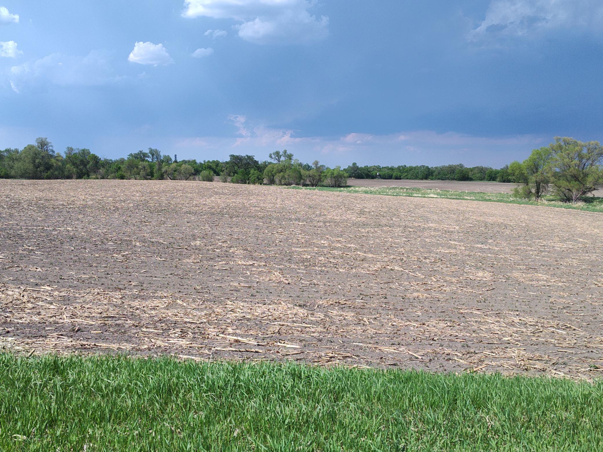 TBD N 90th St N, Glyndon, MN 56547