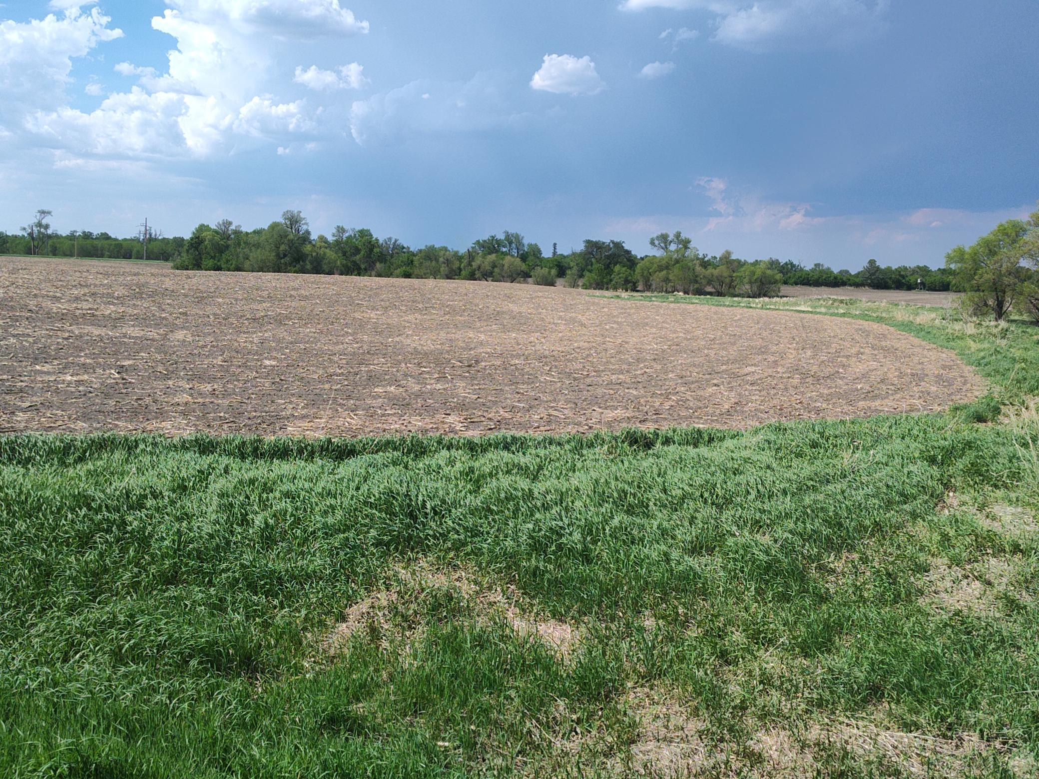 TBD N 90th St N, Glyndon, MN 56547