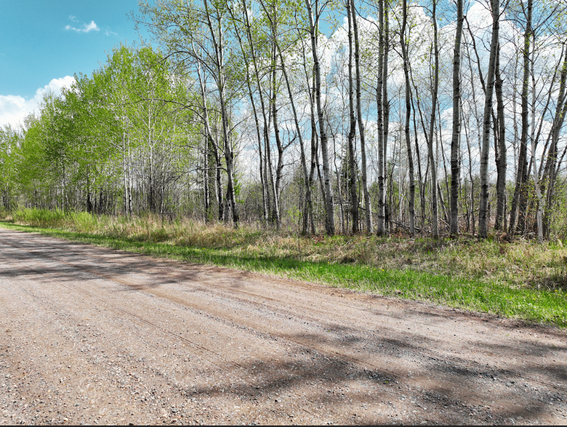 0 Fine Lakes Rd, Floodwood, MN 55736