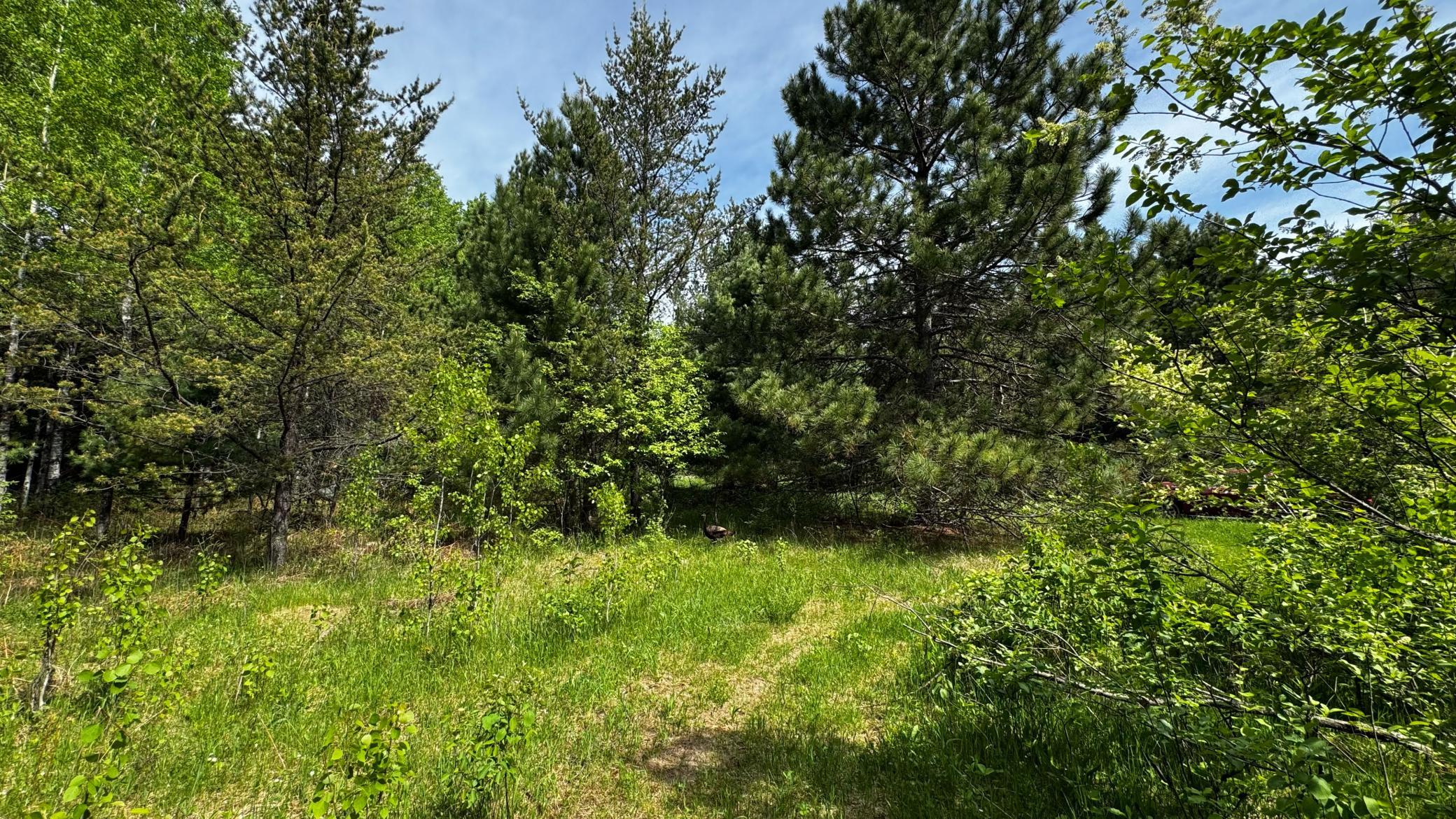 TBD-B Hwy 169, Virginia, MN 55792