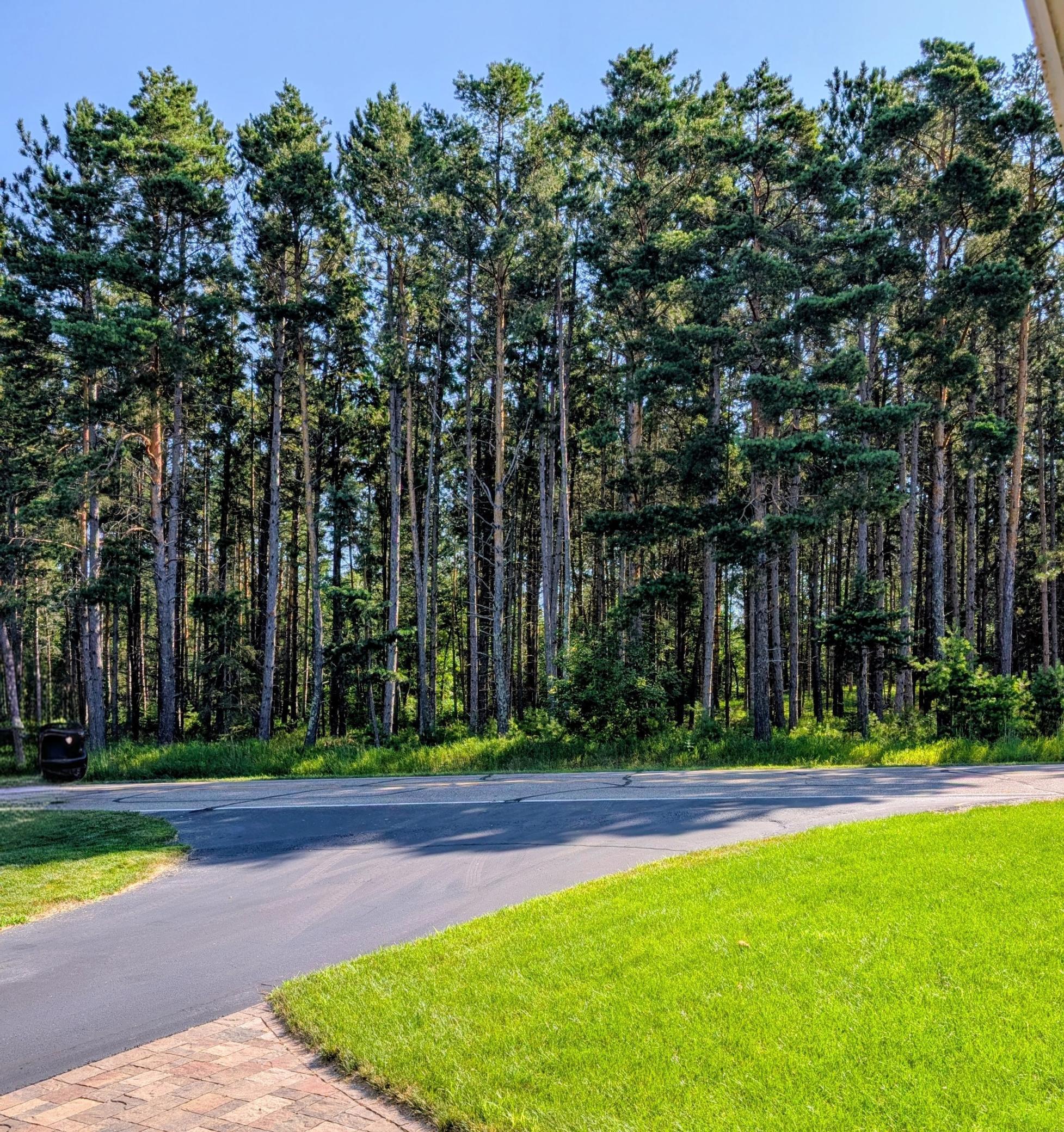 5625 Lavinia Rd NE, Bemidji, MN 56601