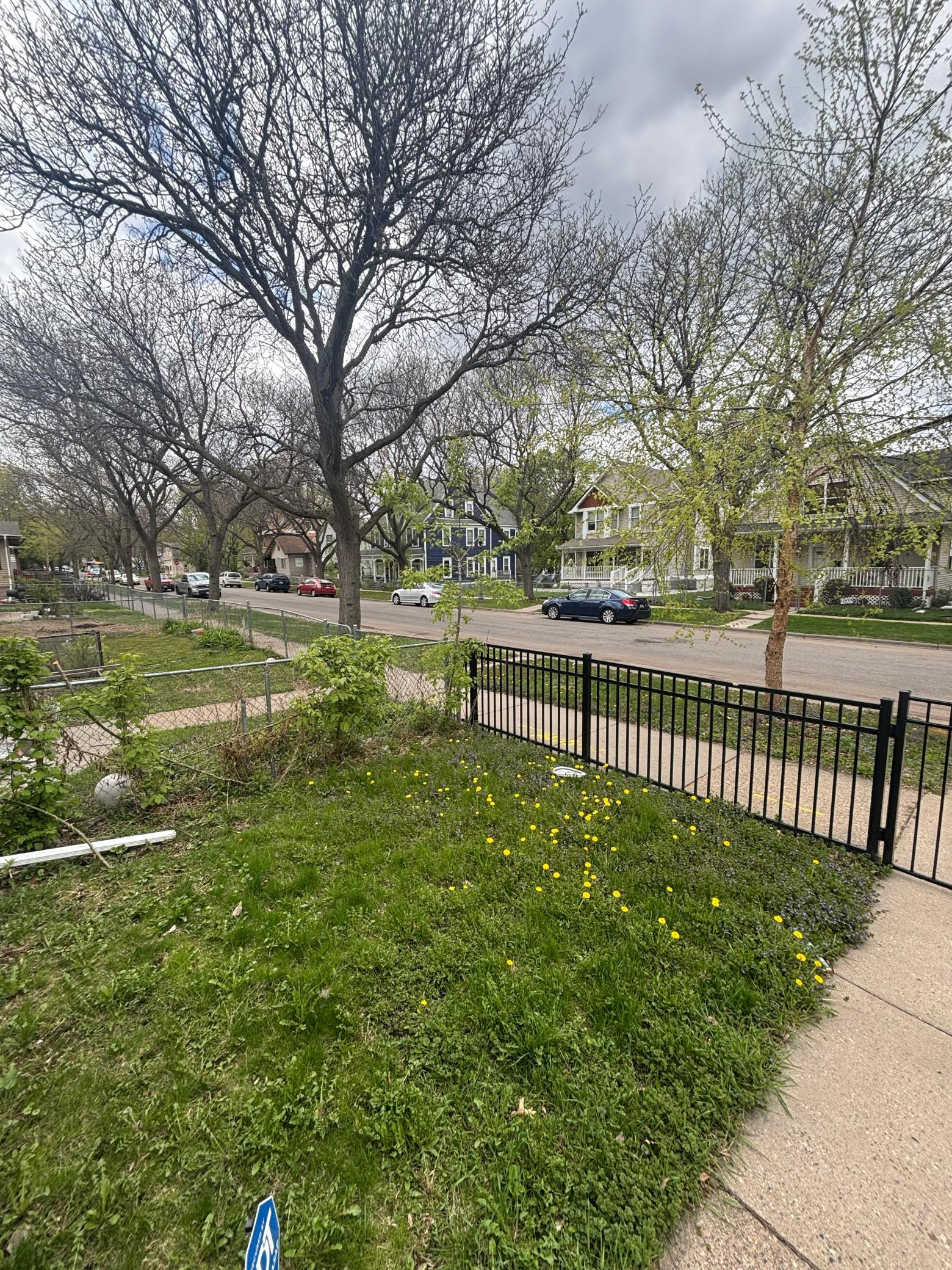 466 Edmund Ave, Saint Paul, MN 55103