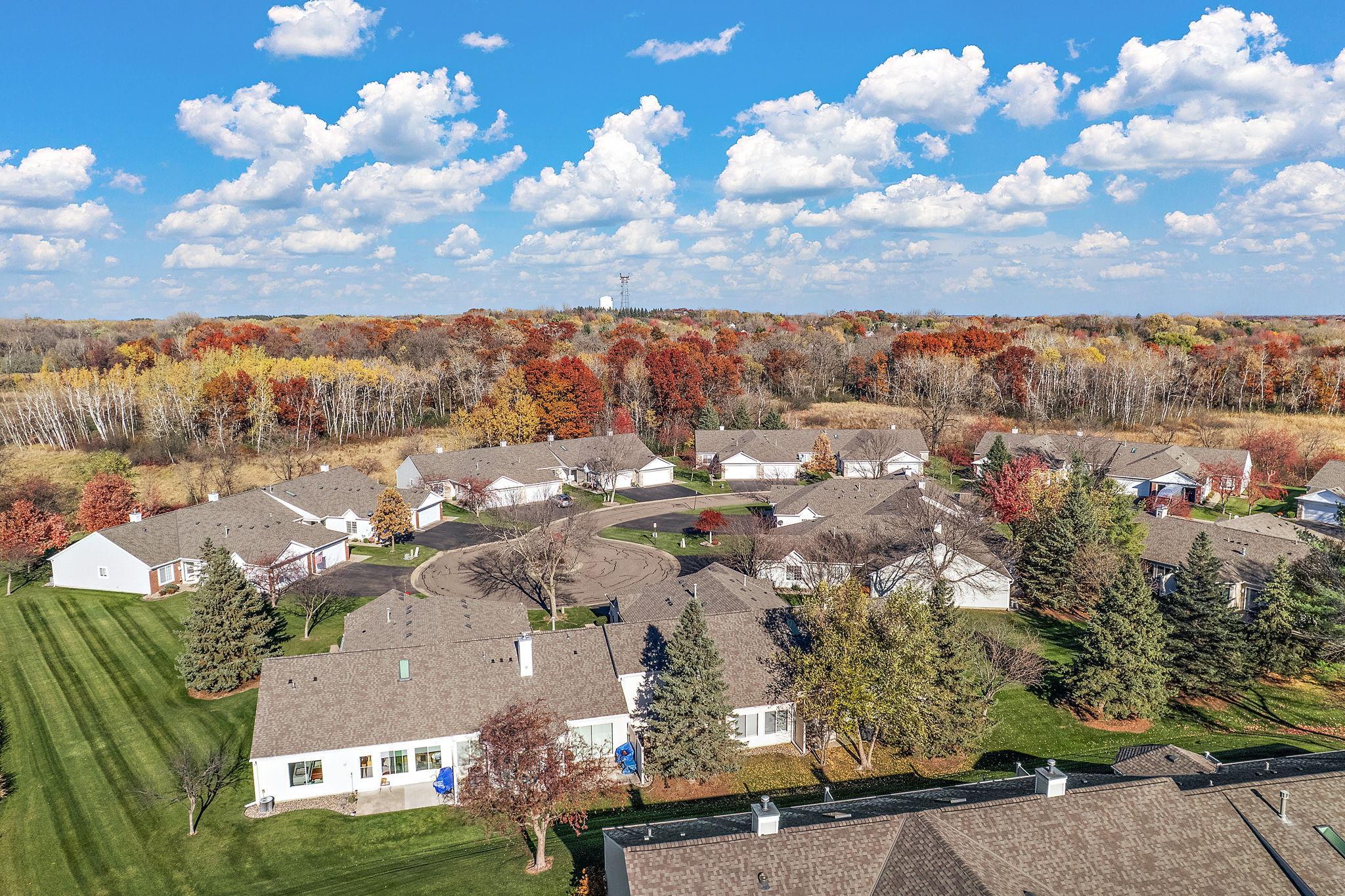 7556 Ojibway Park Bay, Woodbury, MN 55125