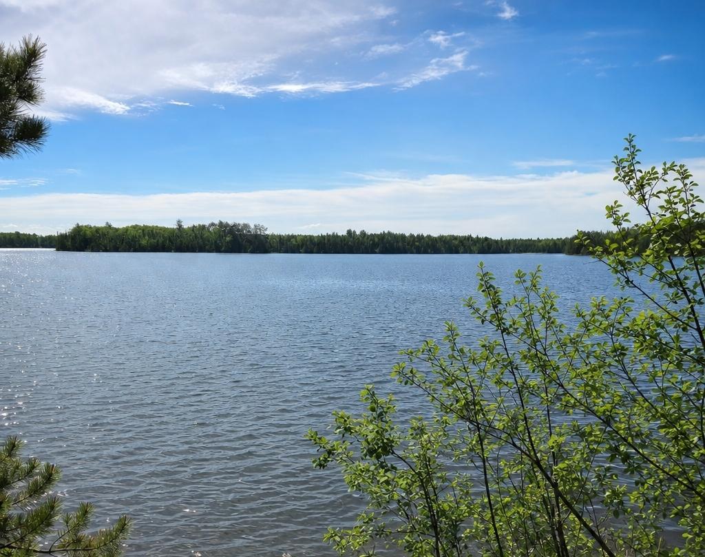 51946 N Wasson Lake Rd, Bigfork, MN 56628