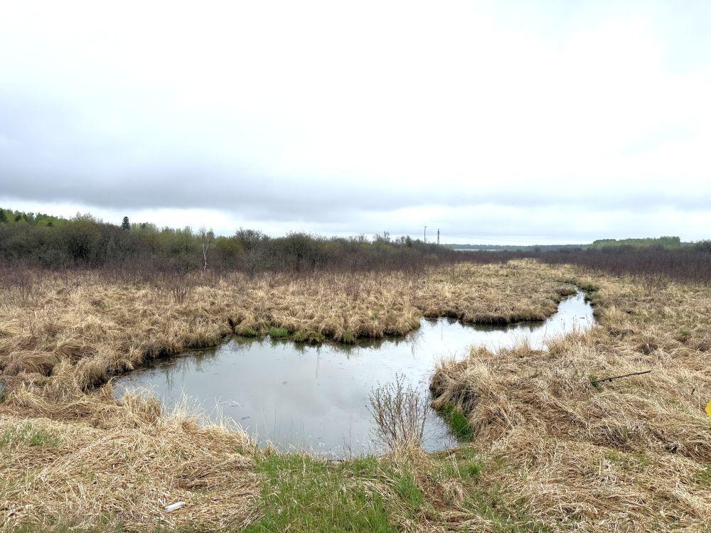 TBD County Highway 36, Frazee, MN 56544