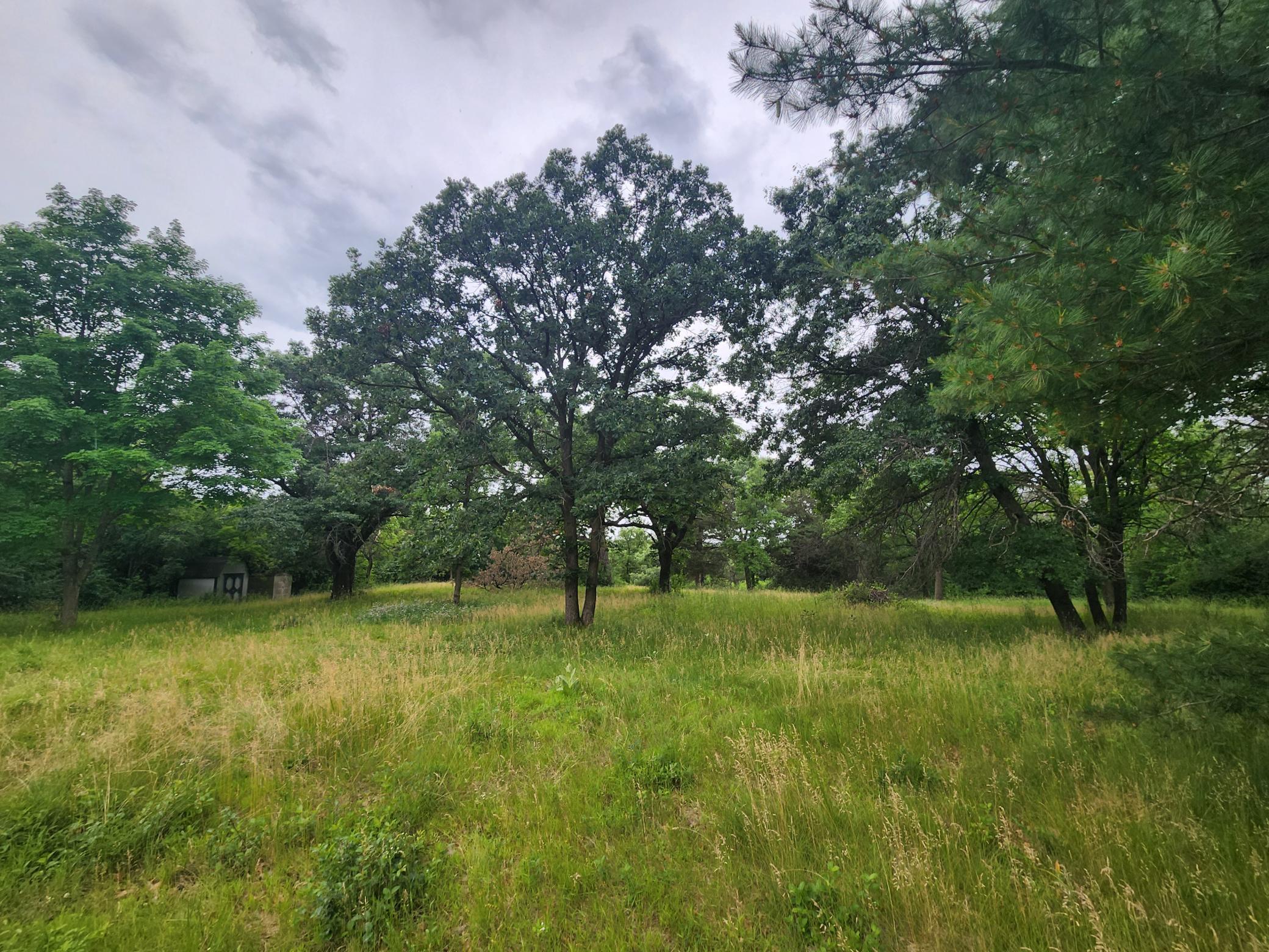 xxx Pearl St, Prescott, WI 54021