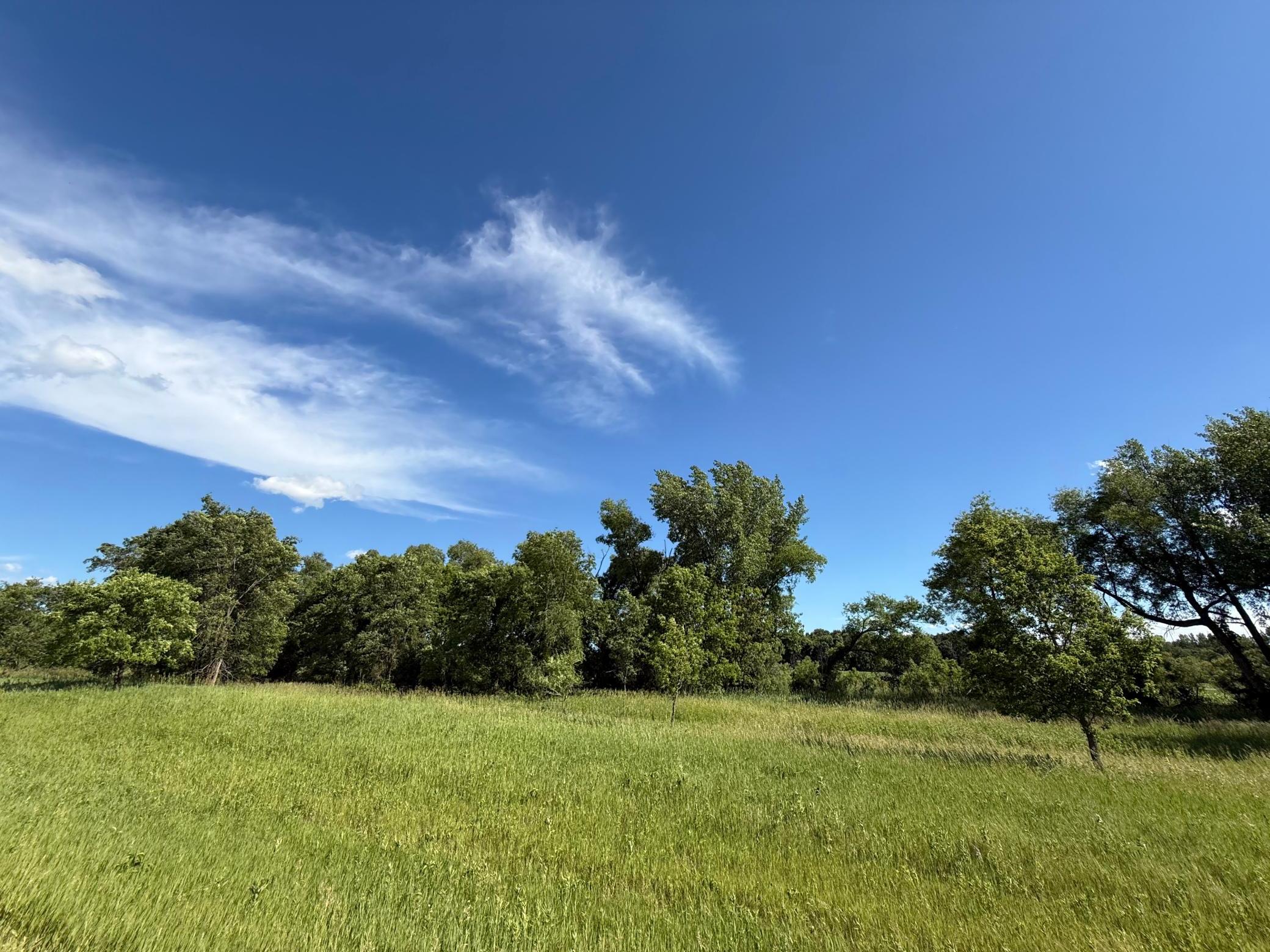 xxx 365th St, Watkins, MN 55389