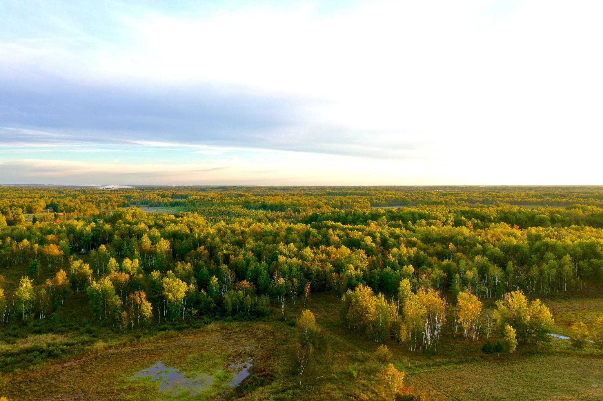 NA Dove Rd, Hinckley, MN 55037
