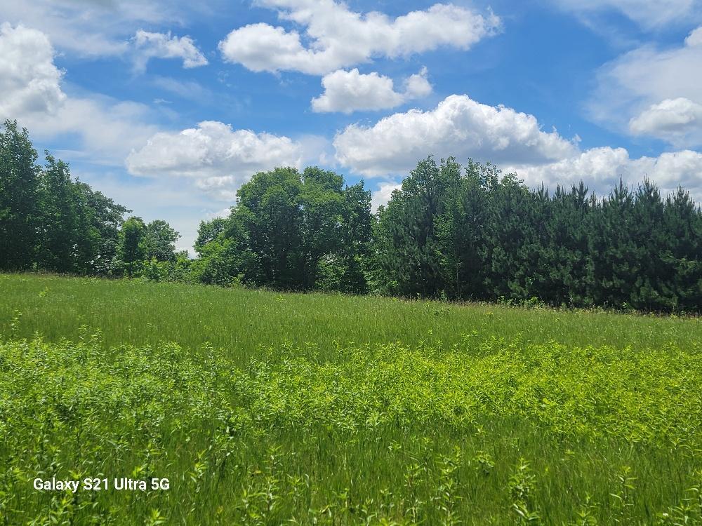 TBD 145th, Eagle Bend, MN 56446