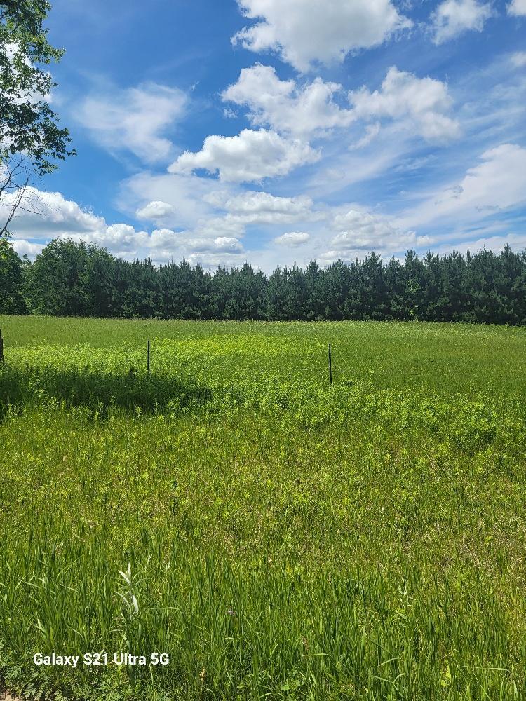 TBD 145th, Eagle Bend, MN 56446