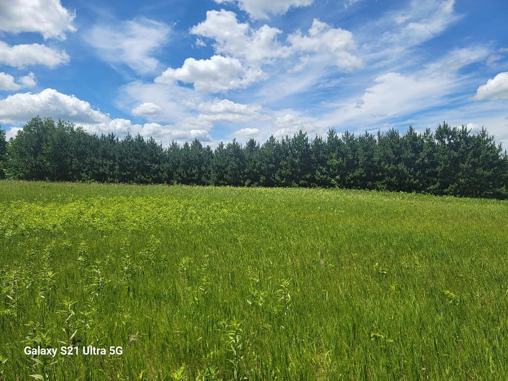 TBD 145th, Eagle Bend, MN 56446