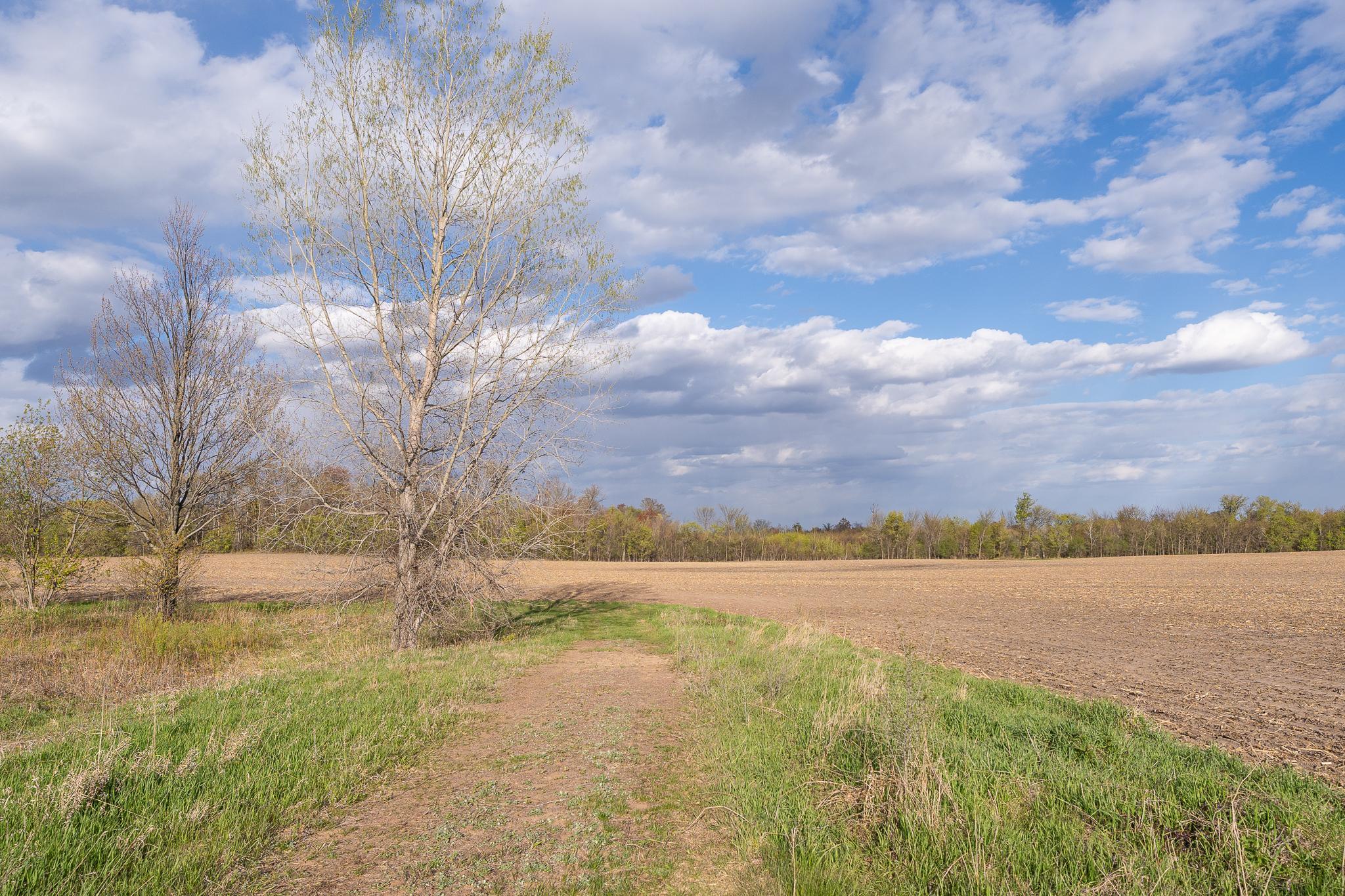 TBD-58AC 465th St, Harris, MN 55032