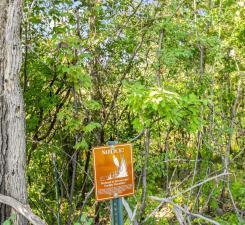 Lot 6 146th Ter, Savage, MN 55378