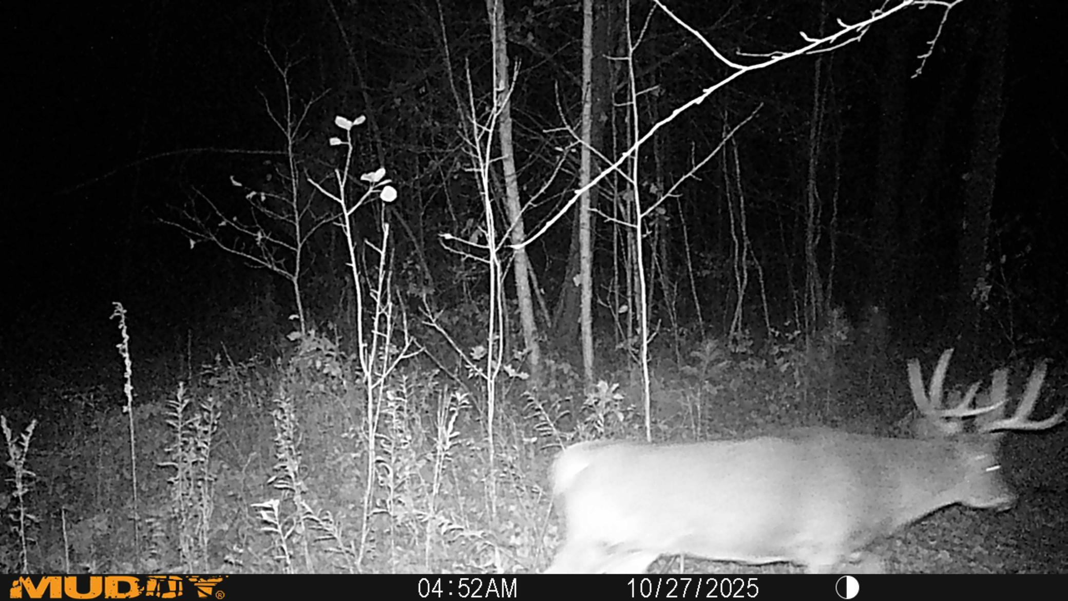 TBD s2564d, Remer, MN 56672