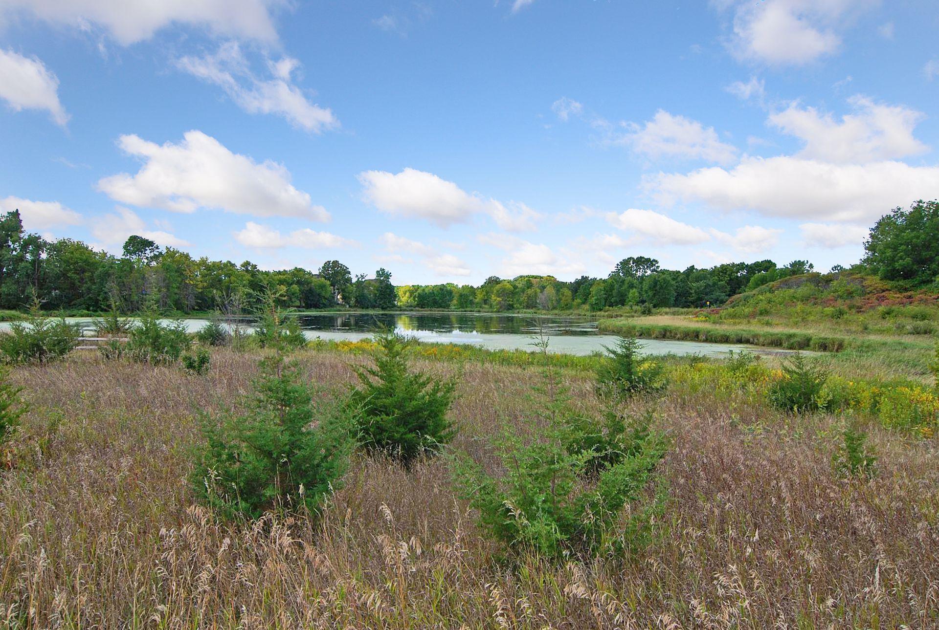 3990 Forest Ct, Saint Bonifacius, MN 55375