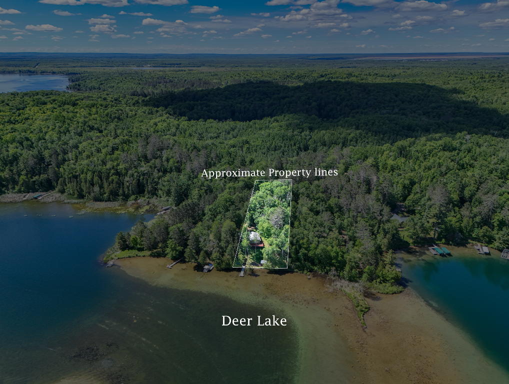 39718 W Deer Lake Ln, Deer River, MN 56636