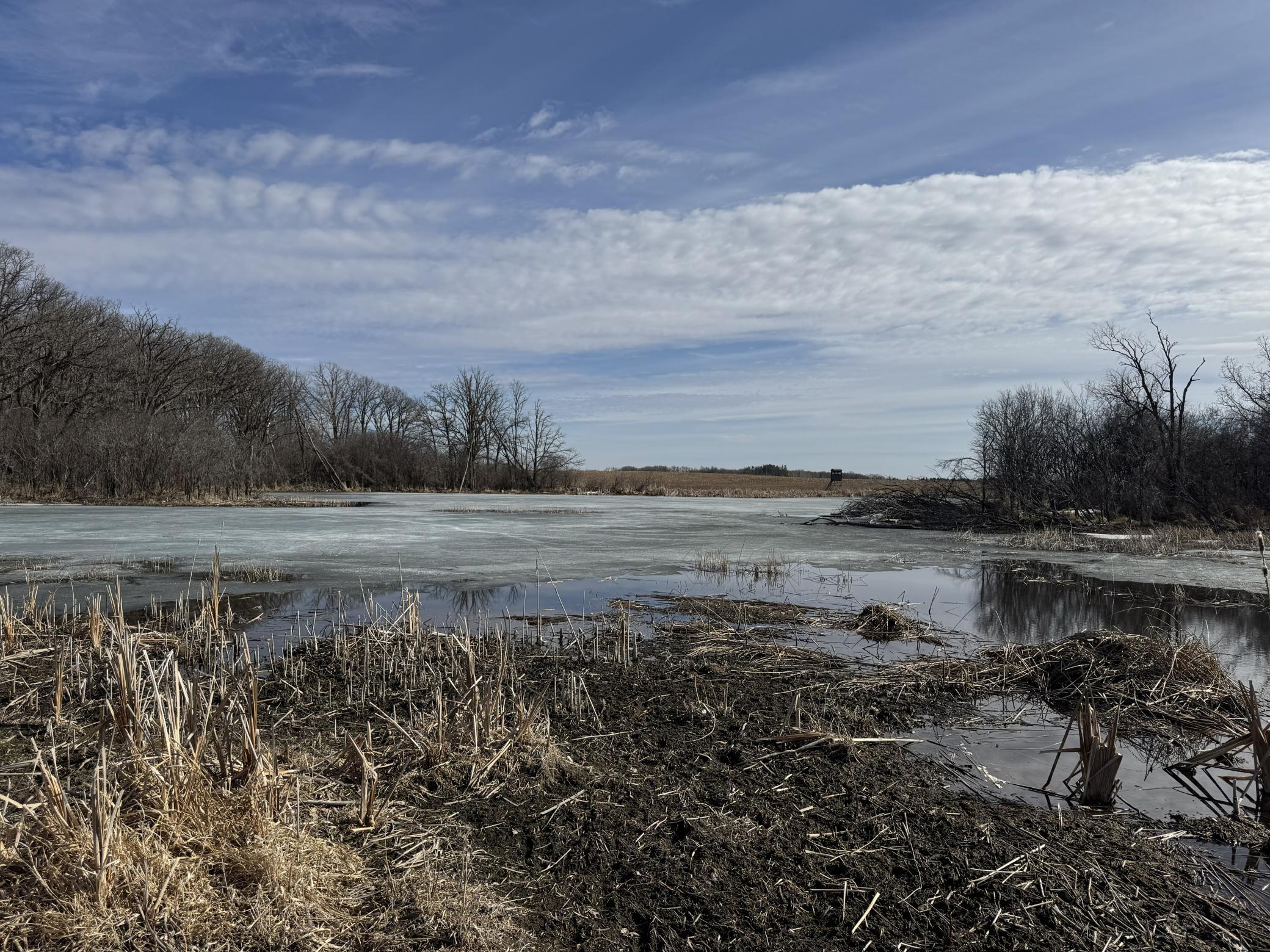 13265 County Rd 42, Parkers Prairie, MN 56361