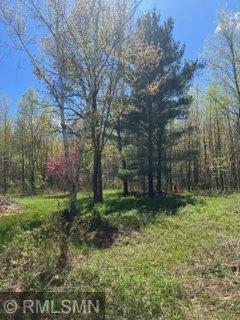 14644 Aspen Cir, Pine City, MN 55063