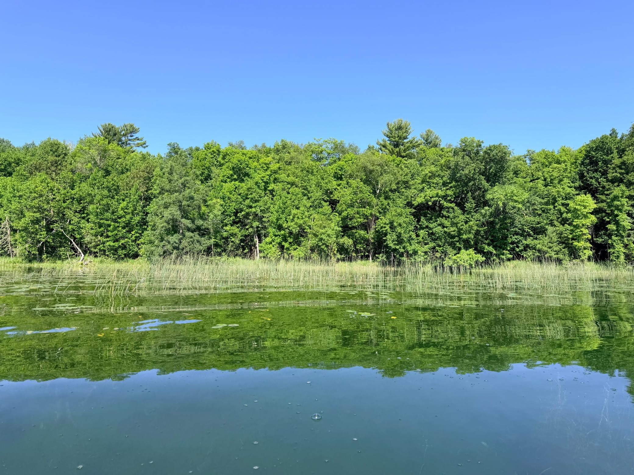 TBD Buxton Rd NW, Hackensack, MN 56452