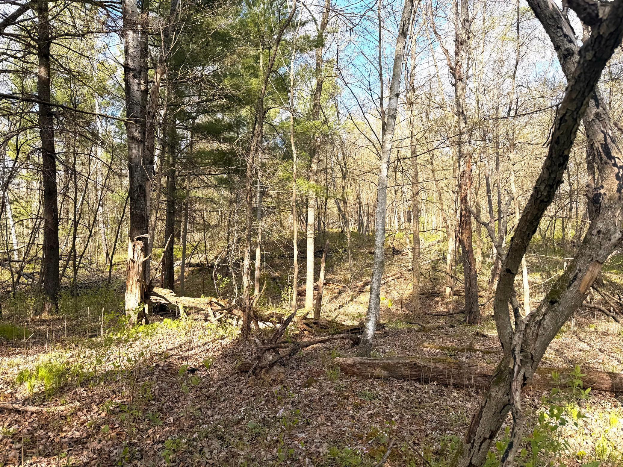 TBD County Line Ave, Clear Lake, WI 54005