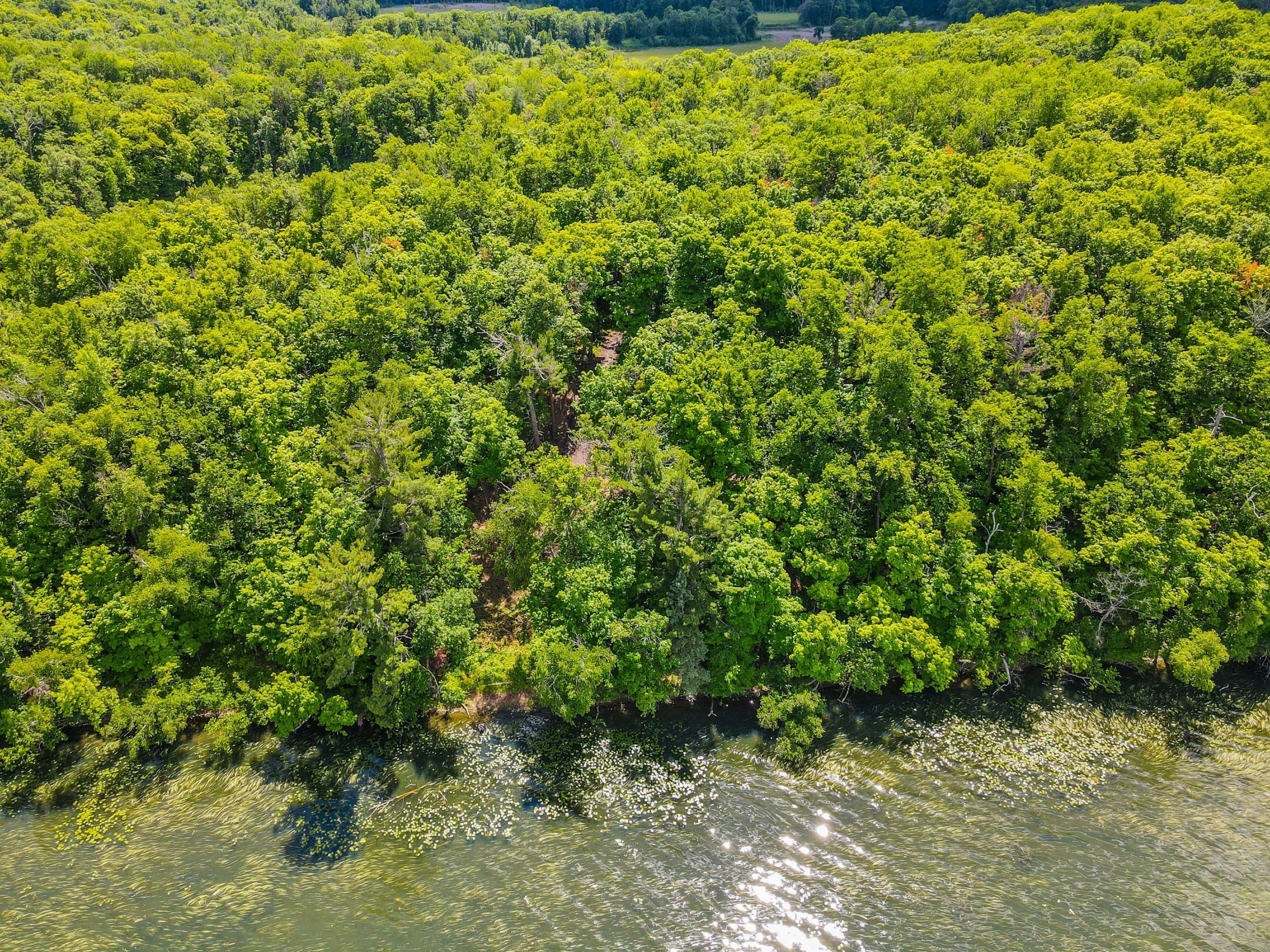 44698 Idas Rd, Osage, MN 56570