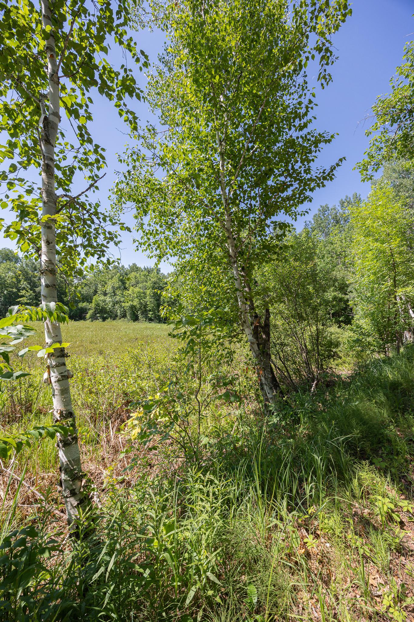 TBD County 5, Hackensack, MN 56452