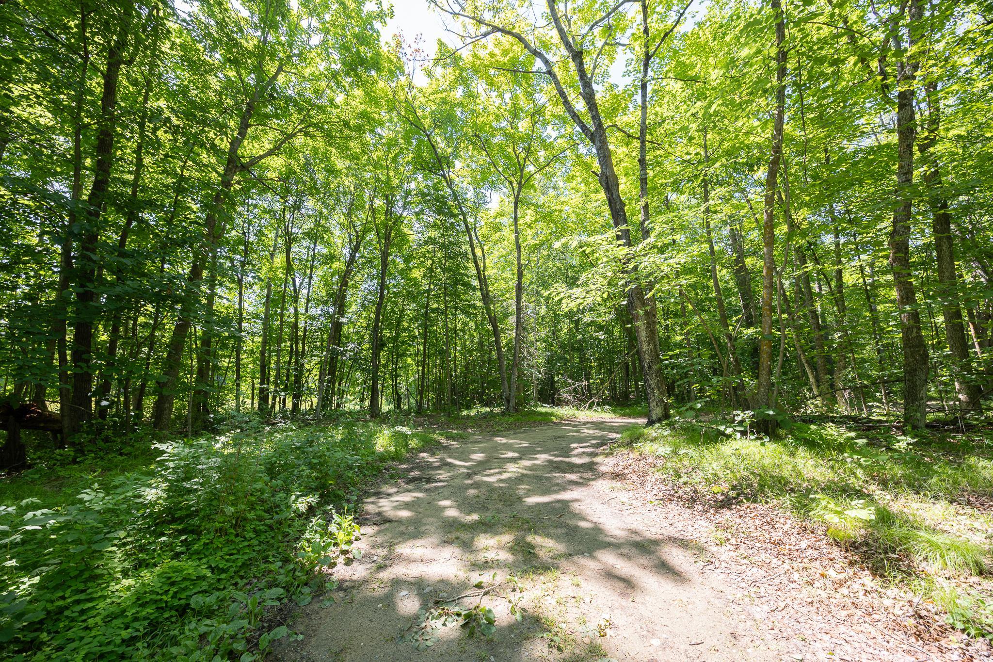 TBD County 5, Hackensack, MN 56452
